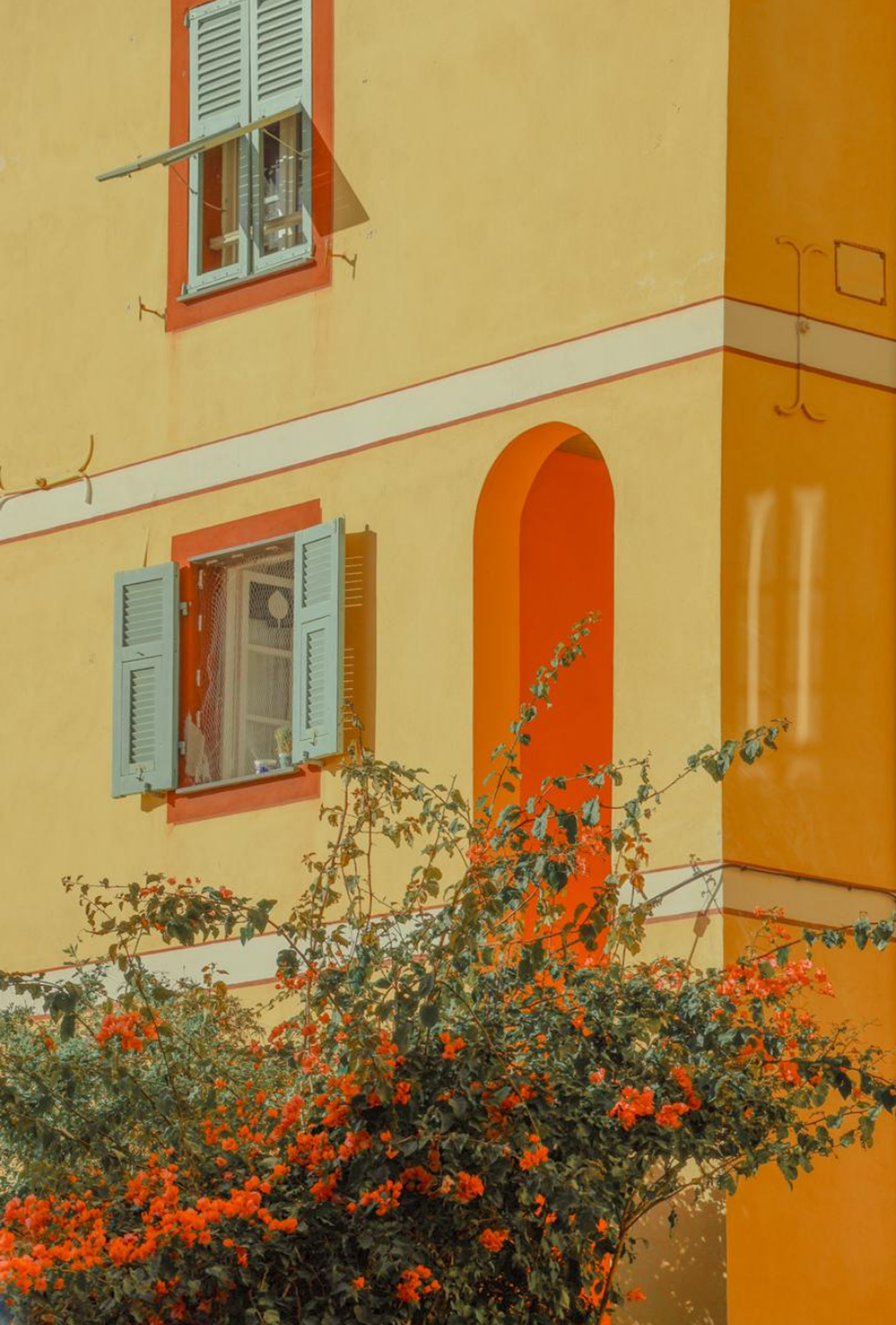 Photography by Celia Montes