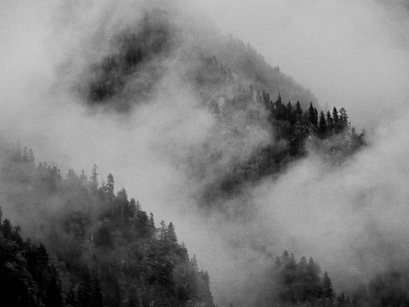 Blurred Series