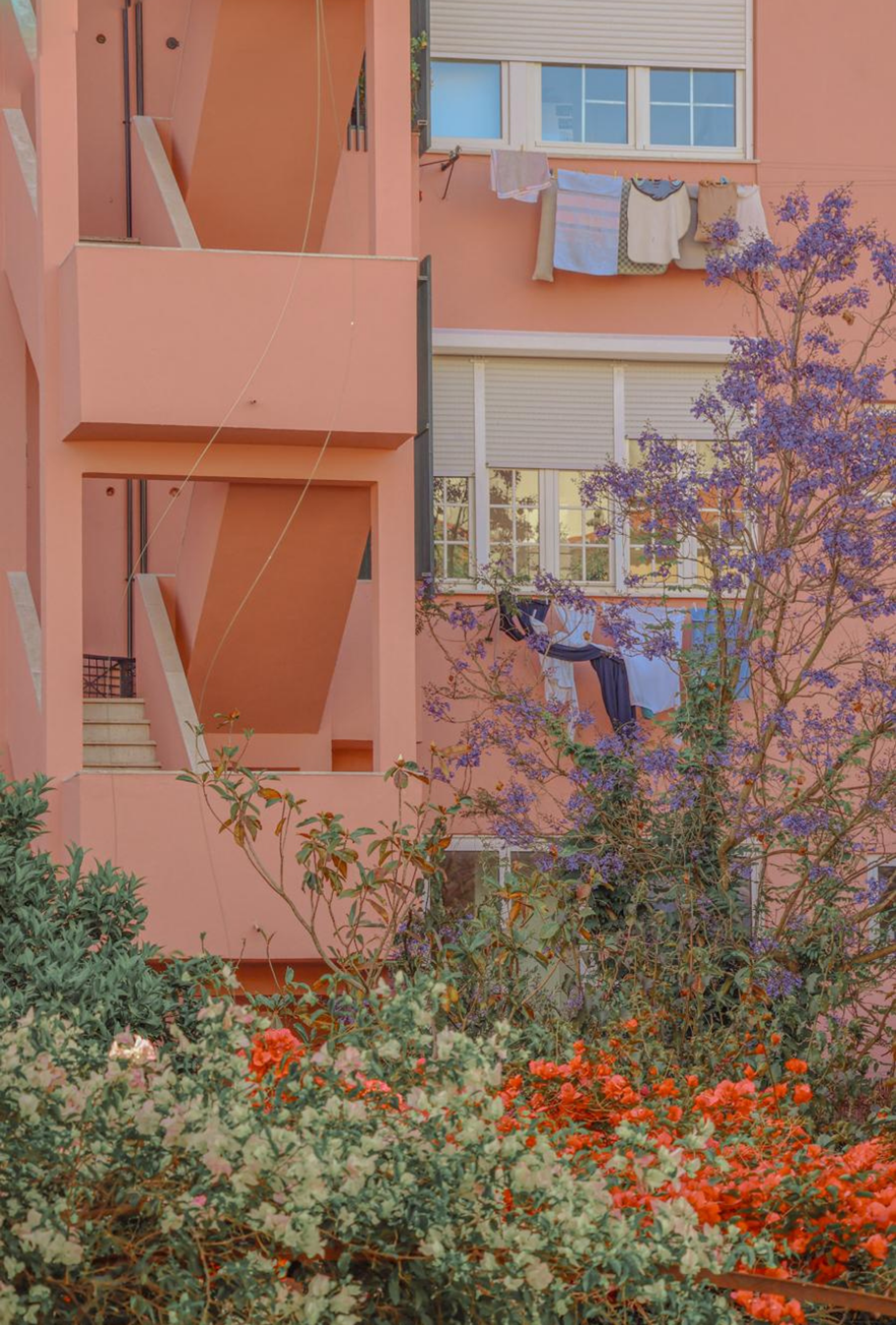 Photography by Celia Montes
