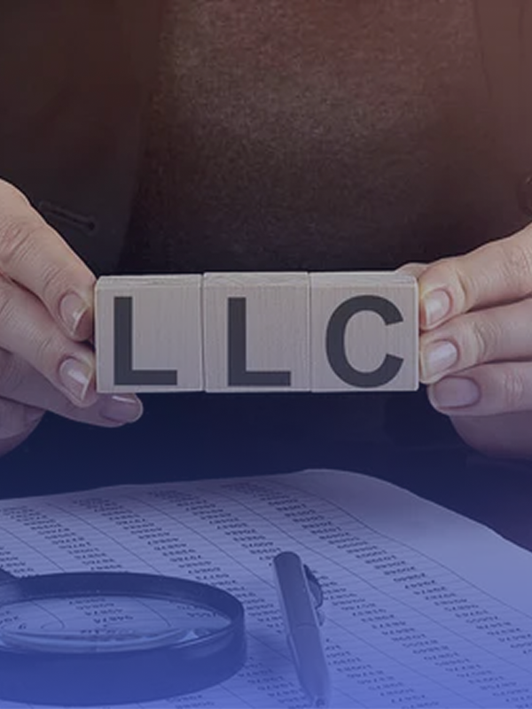 LLC Formation  Course