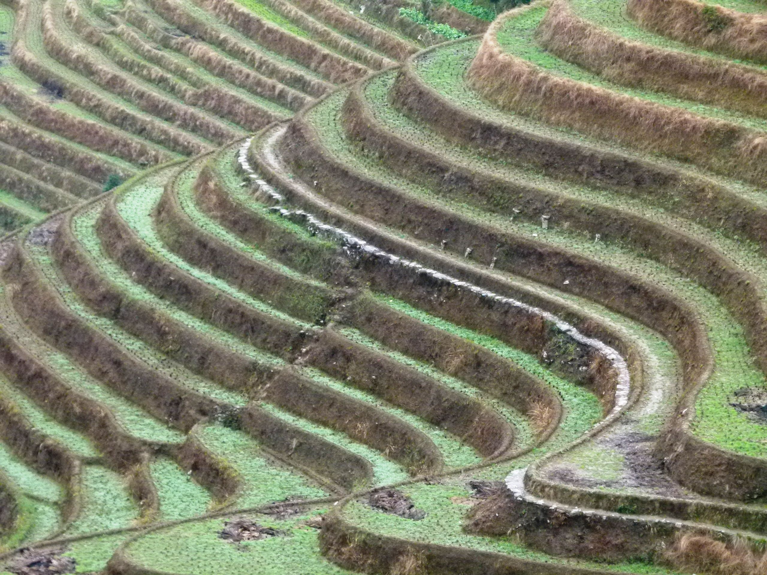 Factoring Climate Risk into Financial Valuation