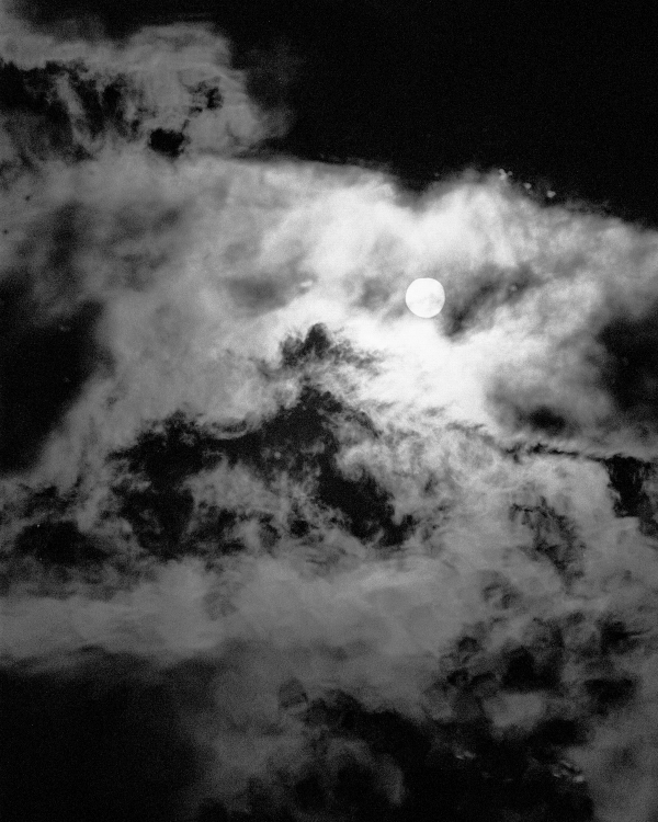 Wolf Branch main image