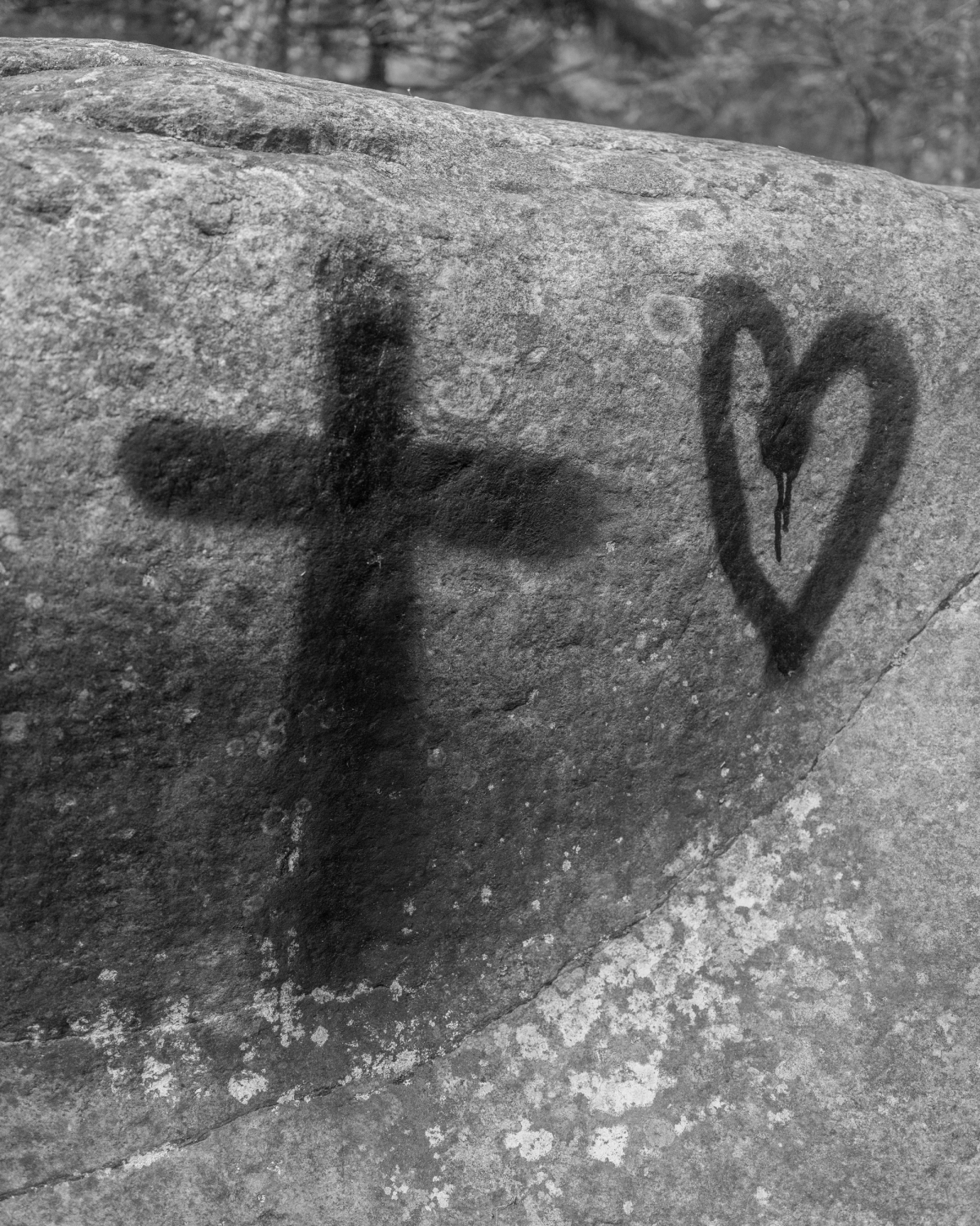 Main Image for Smoky Mustard