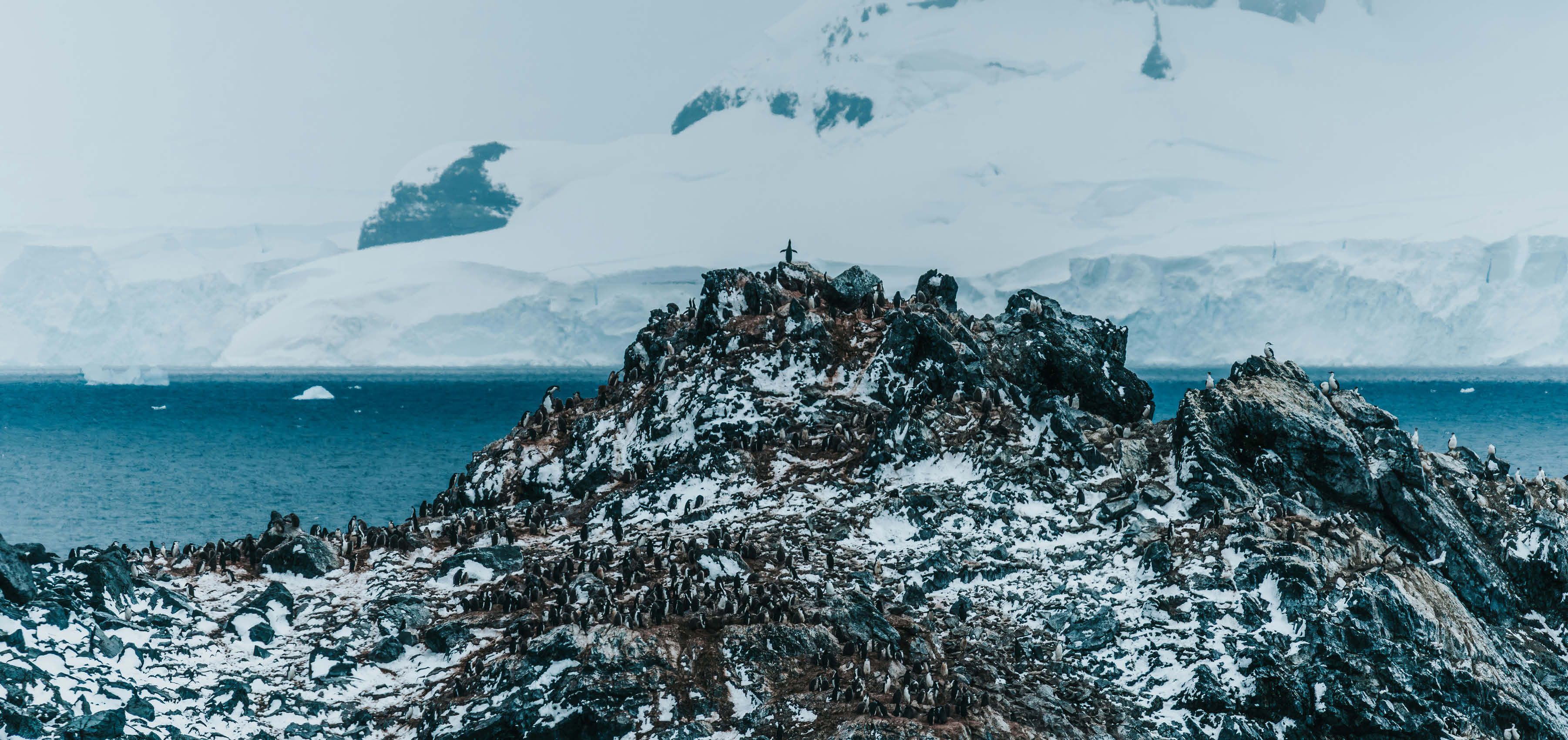 Crossing the Drake Passage