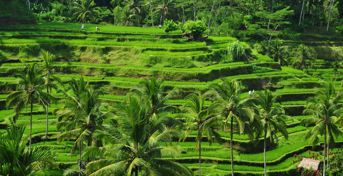 Benoa, Bali, Indonesia