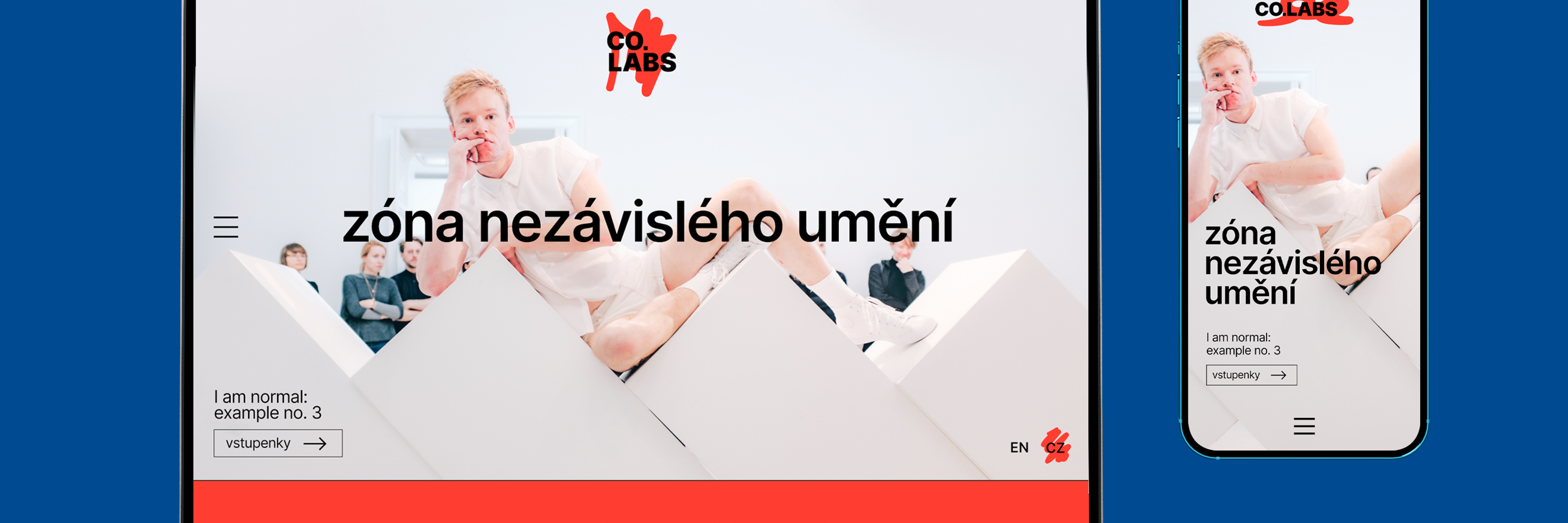 Zipli app screens