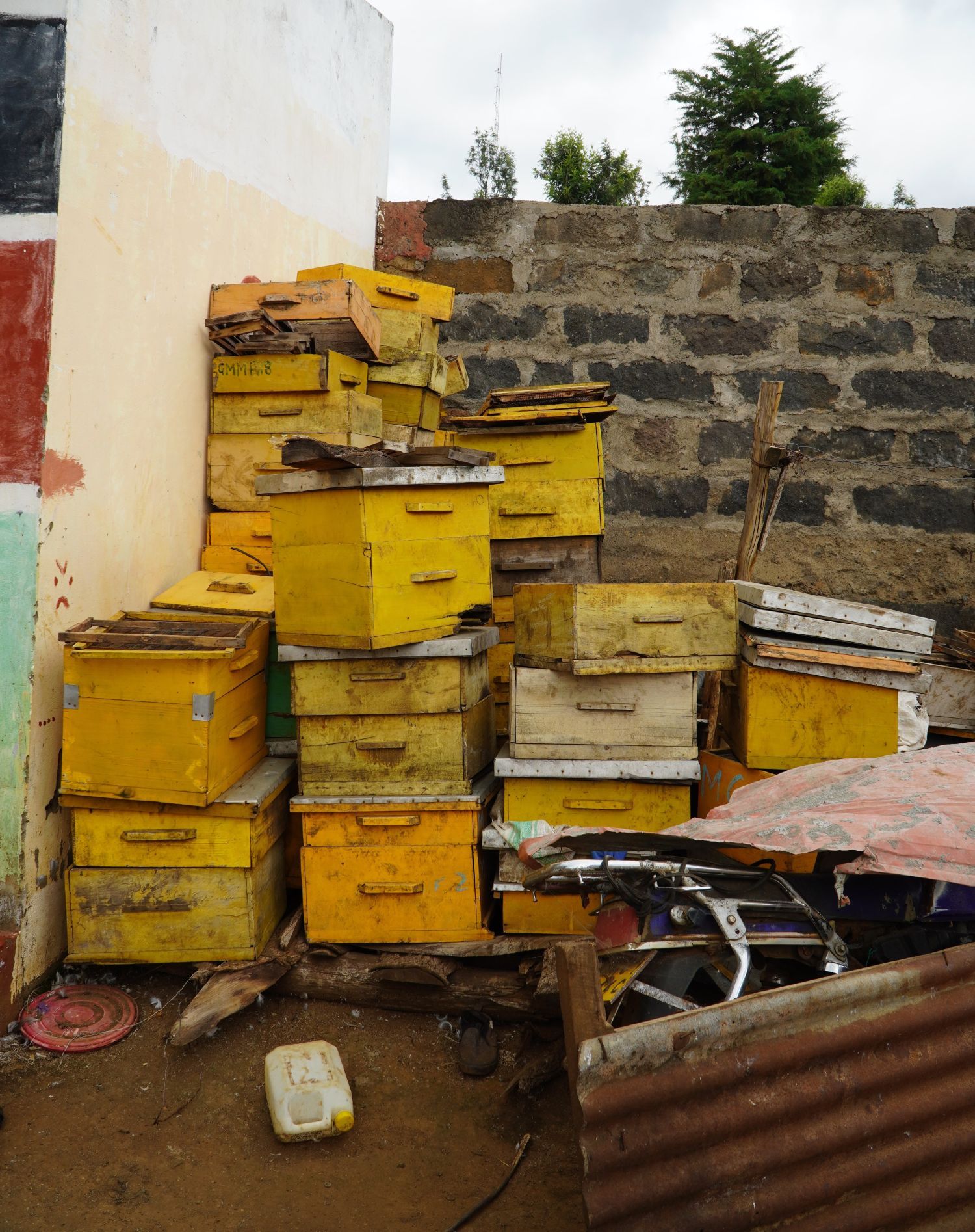 The only functioning apiary