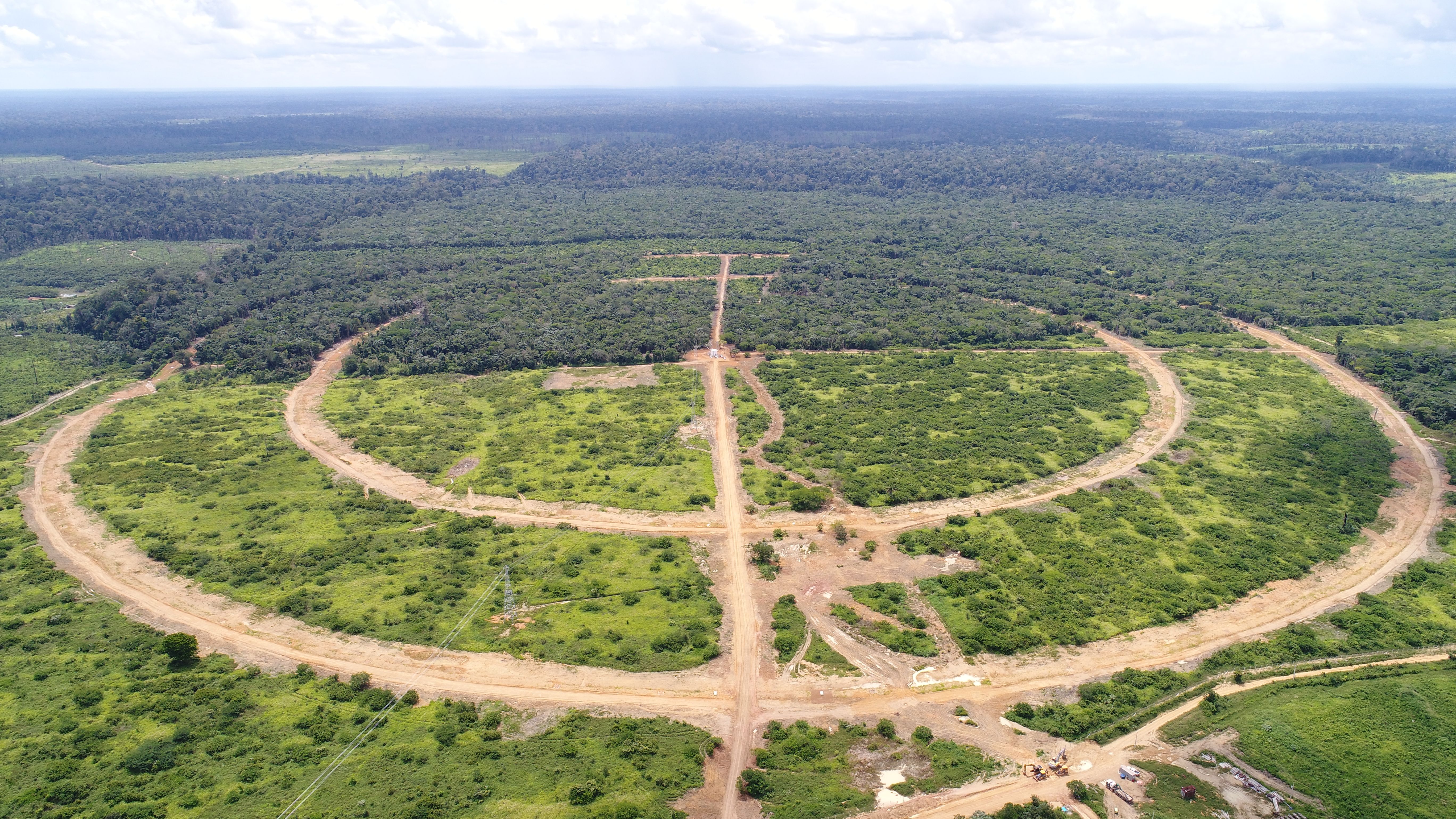Engenheiros trabalhando e conversando na floresta