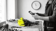Best time to post on Instagram: a florist photographs a bunch of yellow tulips on a wooden workbench with a phone, a wall clock just before noon behind