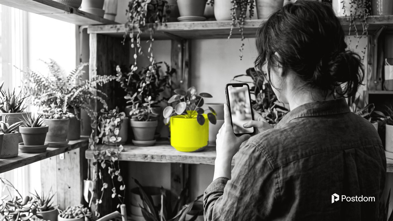 How to post on TikTok: a plant shop owner seen from behind holds up a phone to film the shelves, a yellow plant pot in front