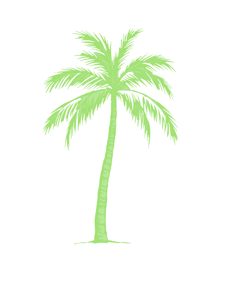 Illustration of a light green palm tree.