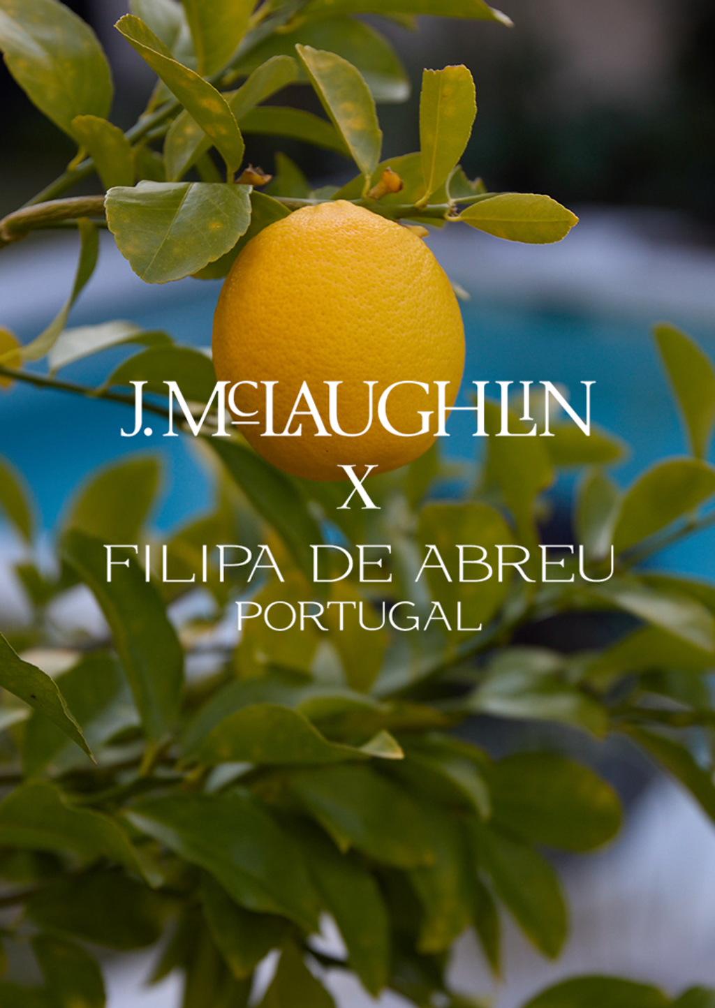 Filipa Logo