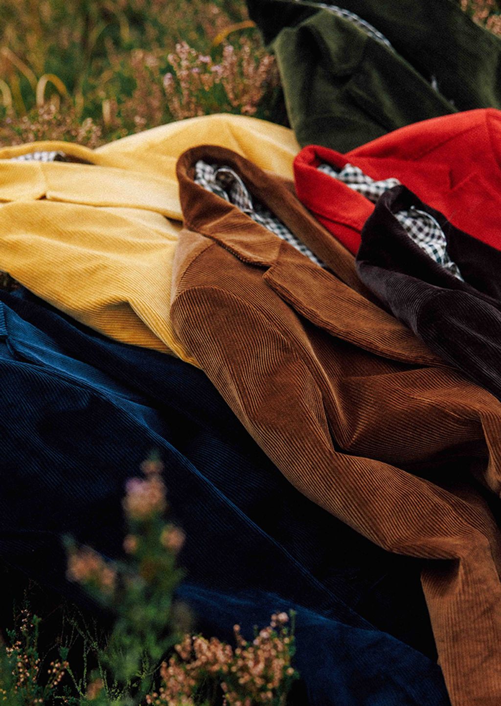 all color variations
