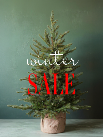 christmas tree without lights or ornaments but with winter sale message overlayed