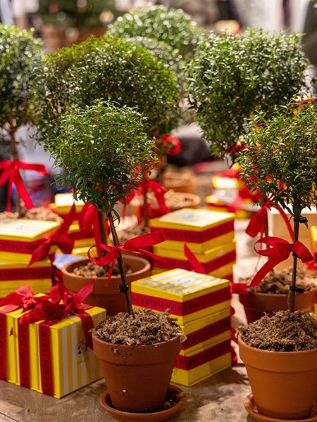 Interior view of a retail clothing store displaying merchandise on racks and shelves, with wrapped gift boxes and various items arranged on a table in the foreground.