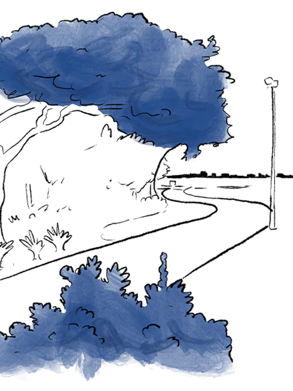 The Bay