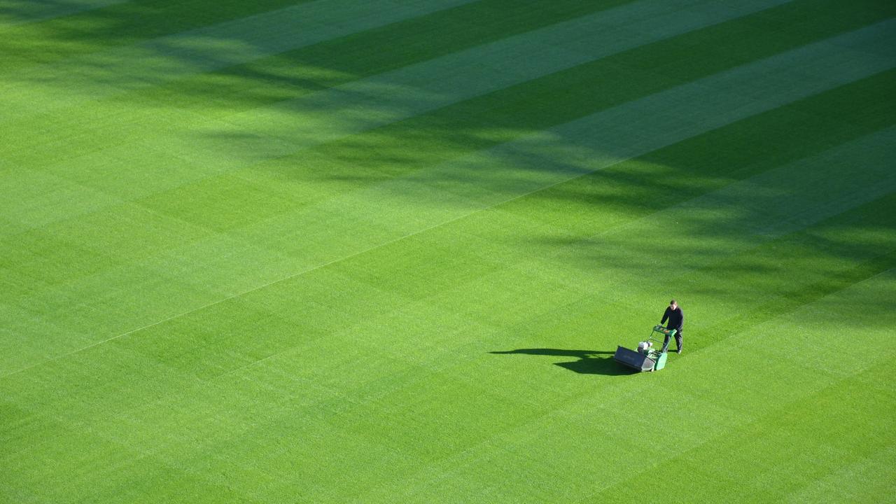 Green Space Maintenance