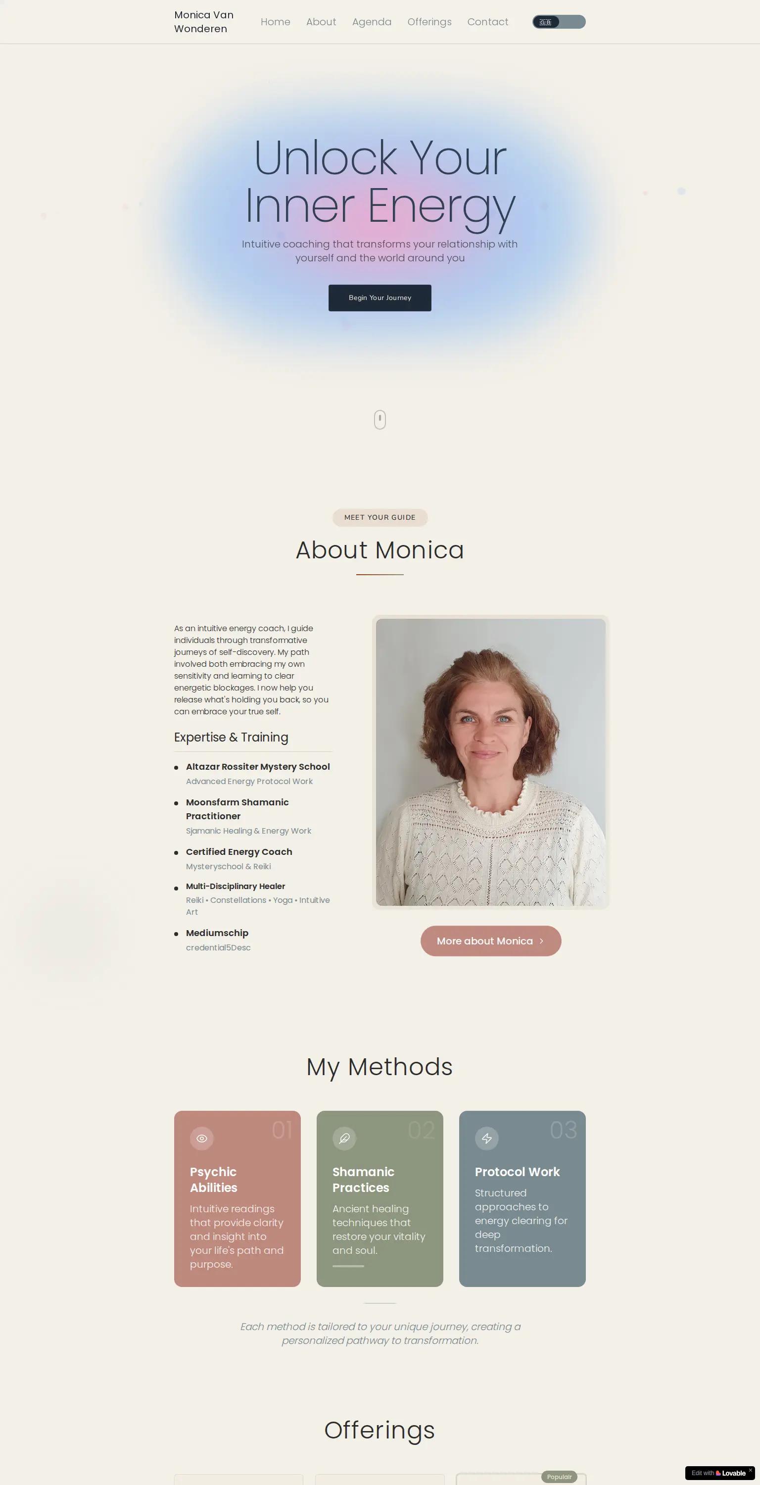 Monica Energy screenshot