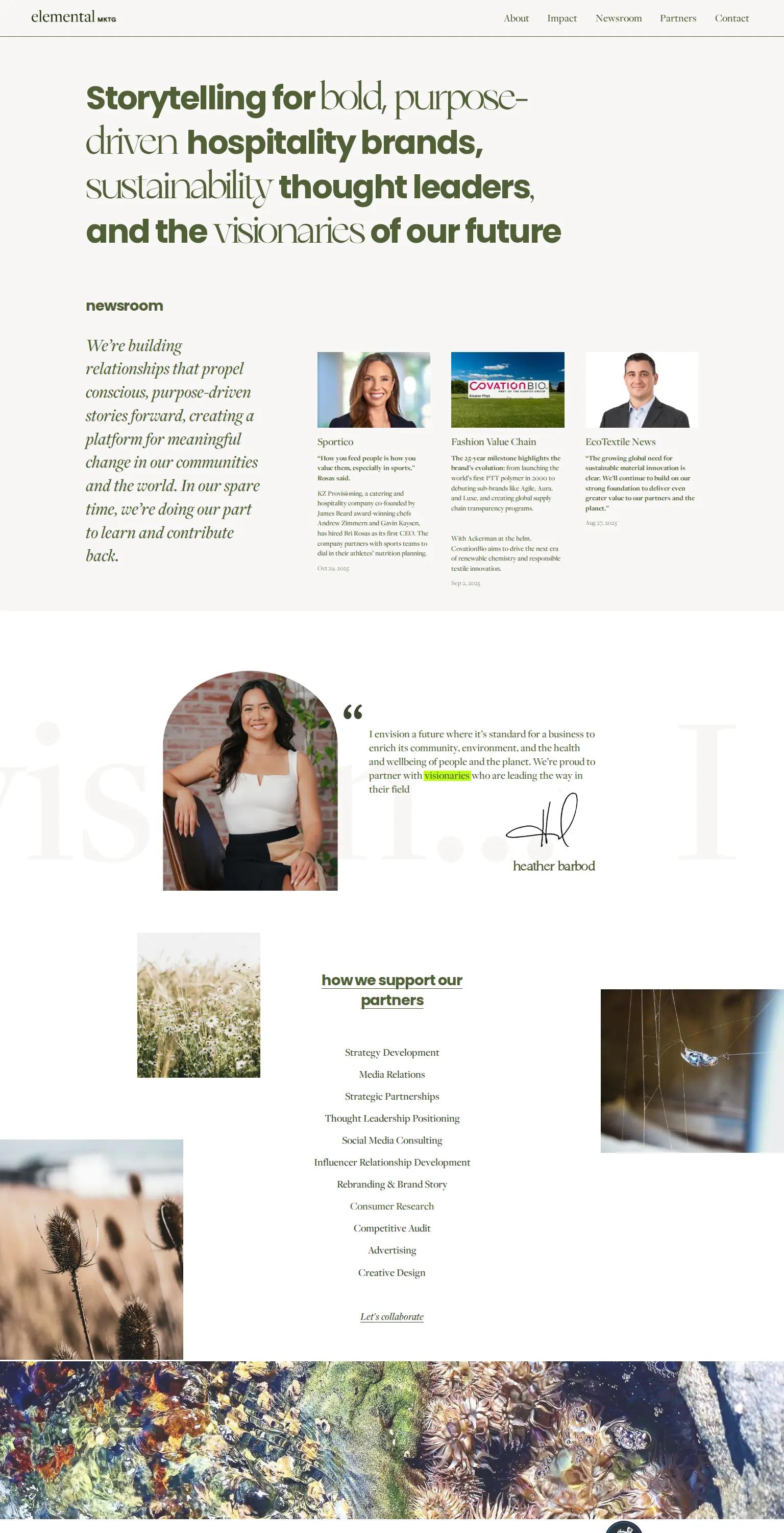 Inspire Elemental screenshot