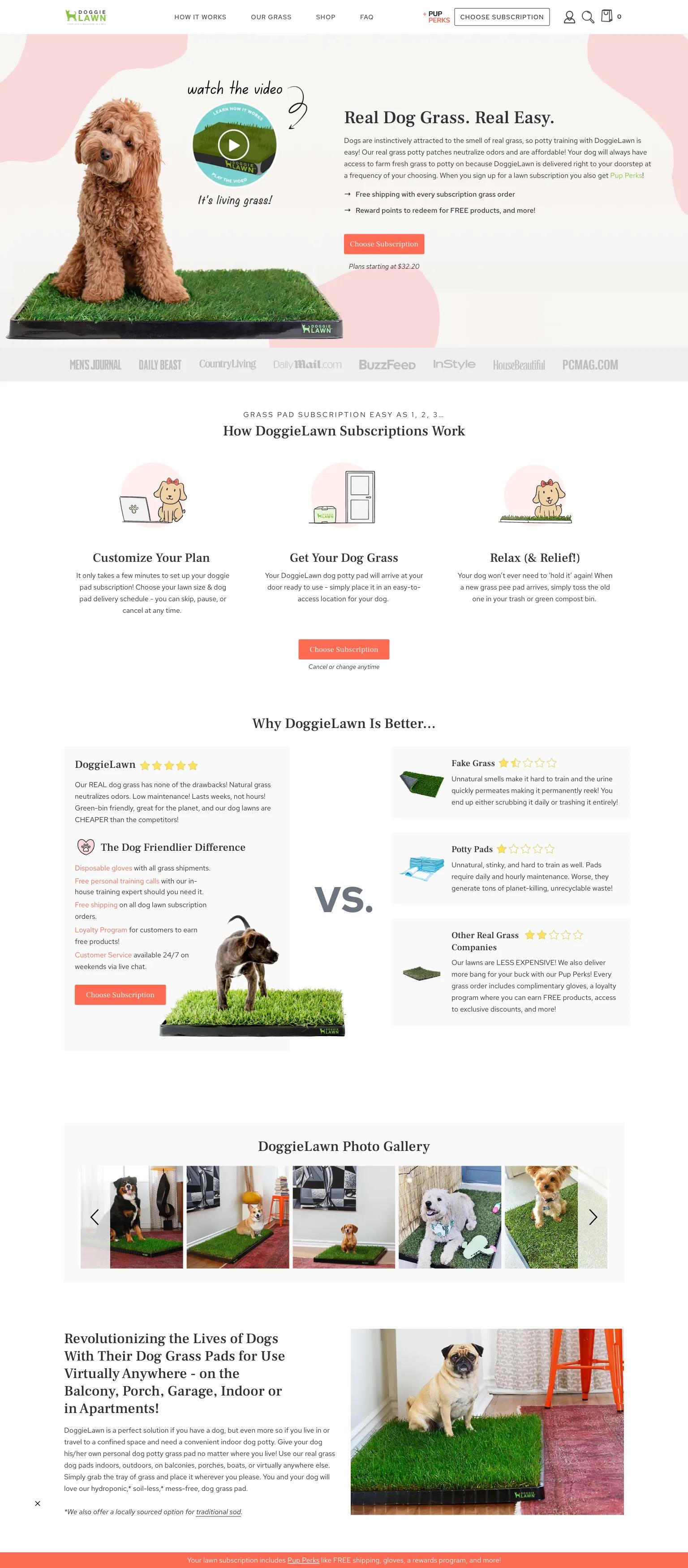 DoggieLawn screenshot