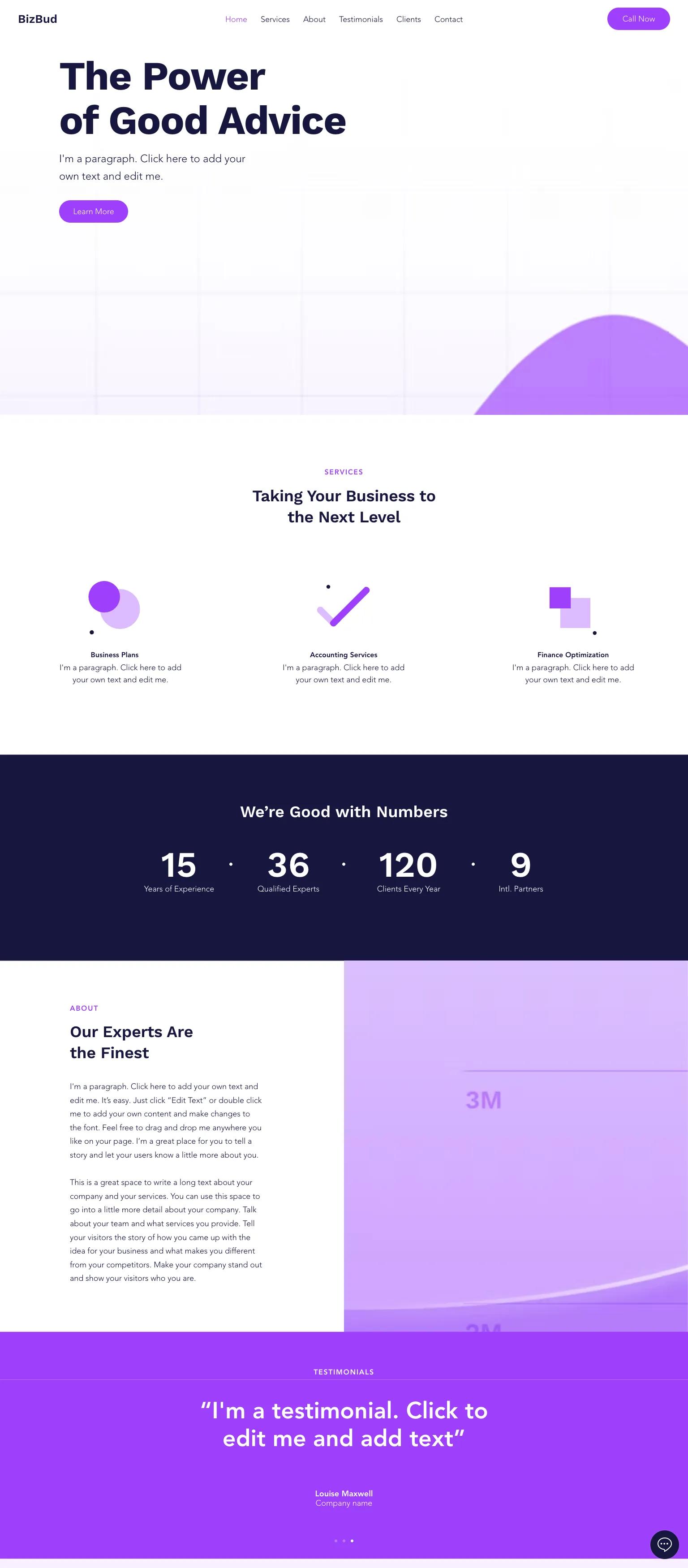 Business Consulting Company screenshot