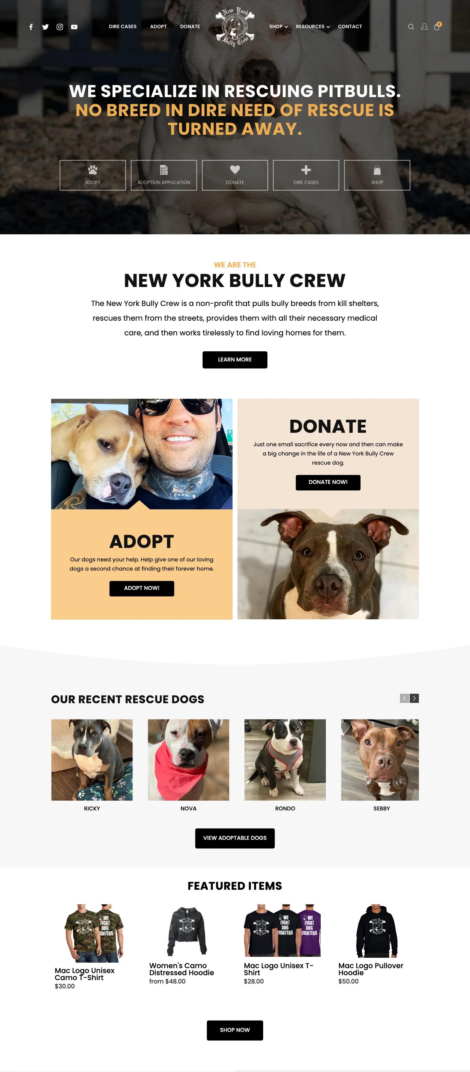 New York Bully Crew screenshot