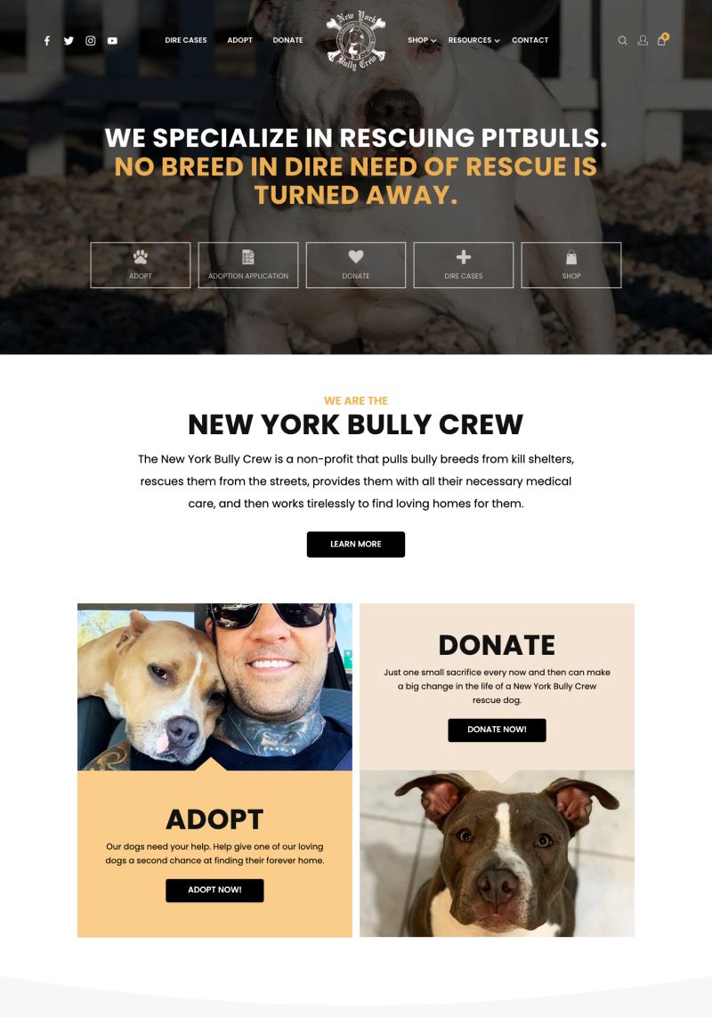 New York Bully Crew screenshot