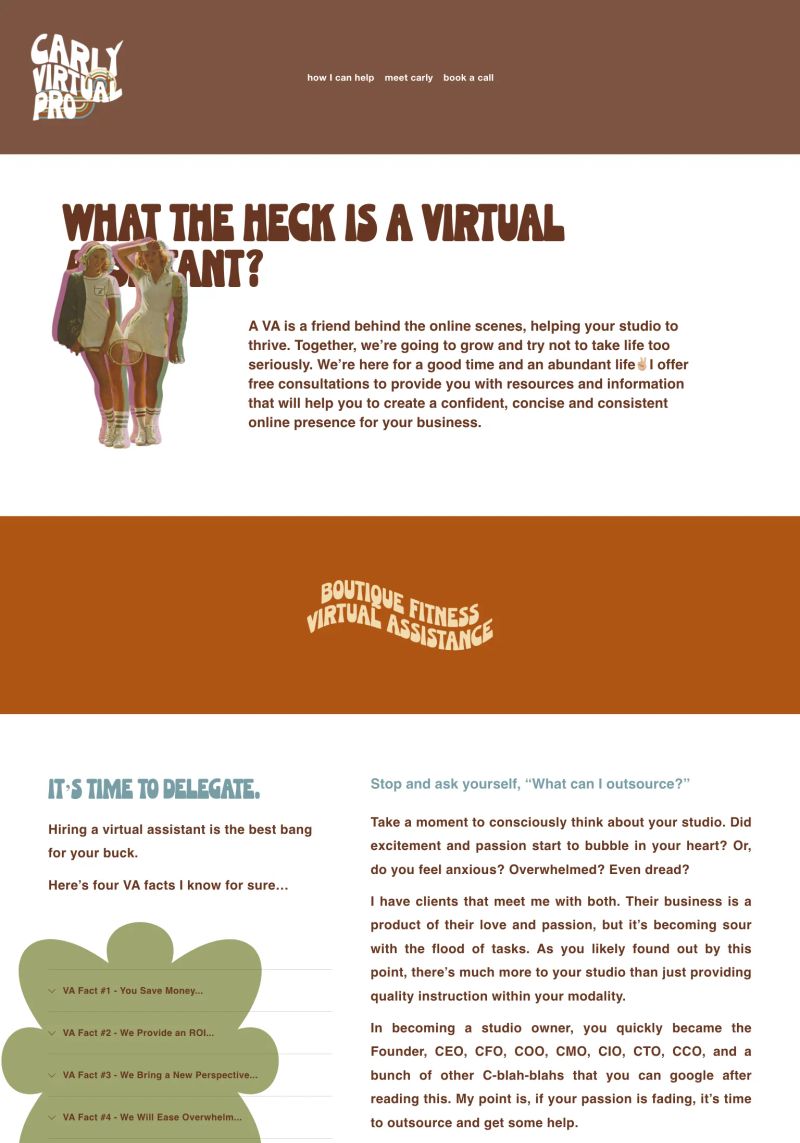 Carly Virtual Pro screenshot