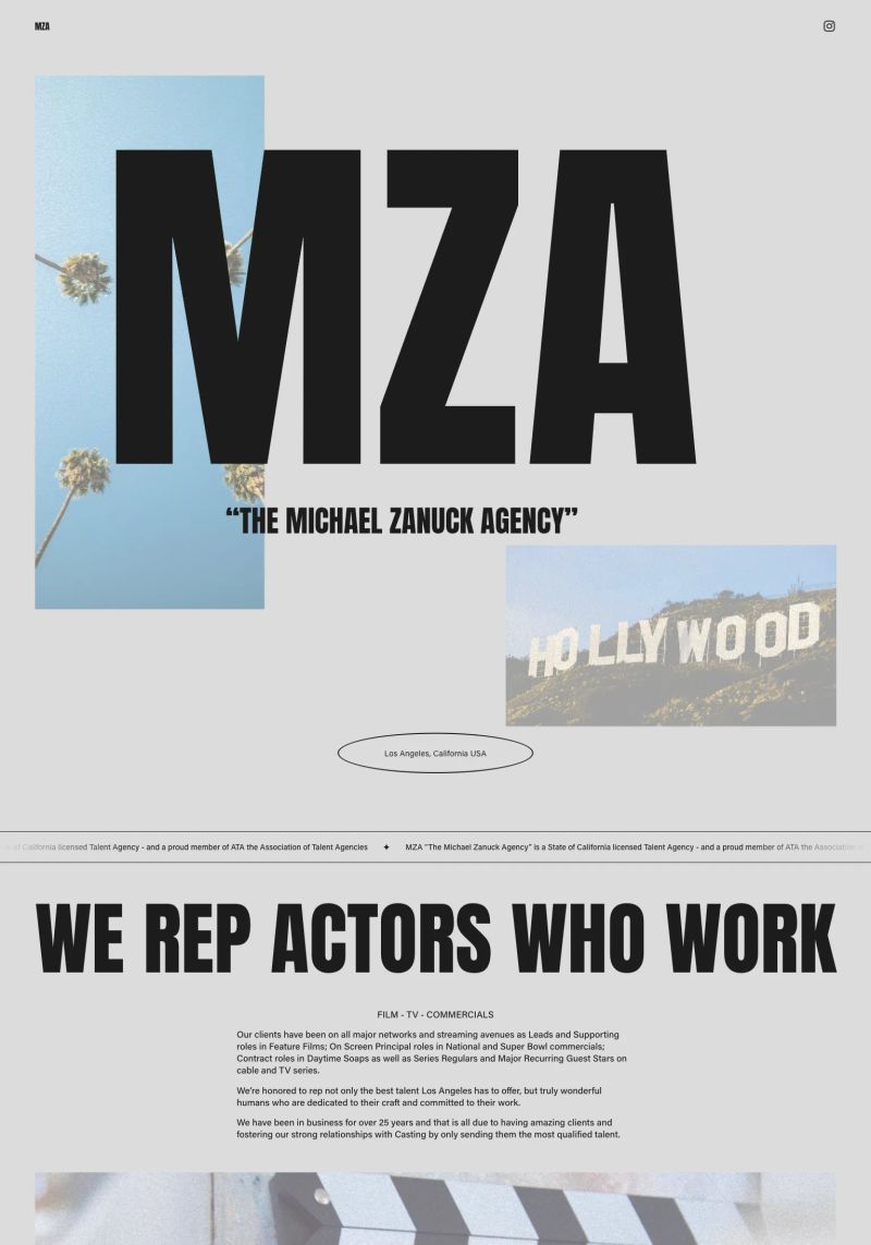 Michael Zanuck Agency screenshot
