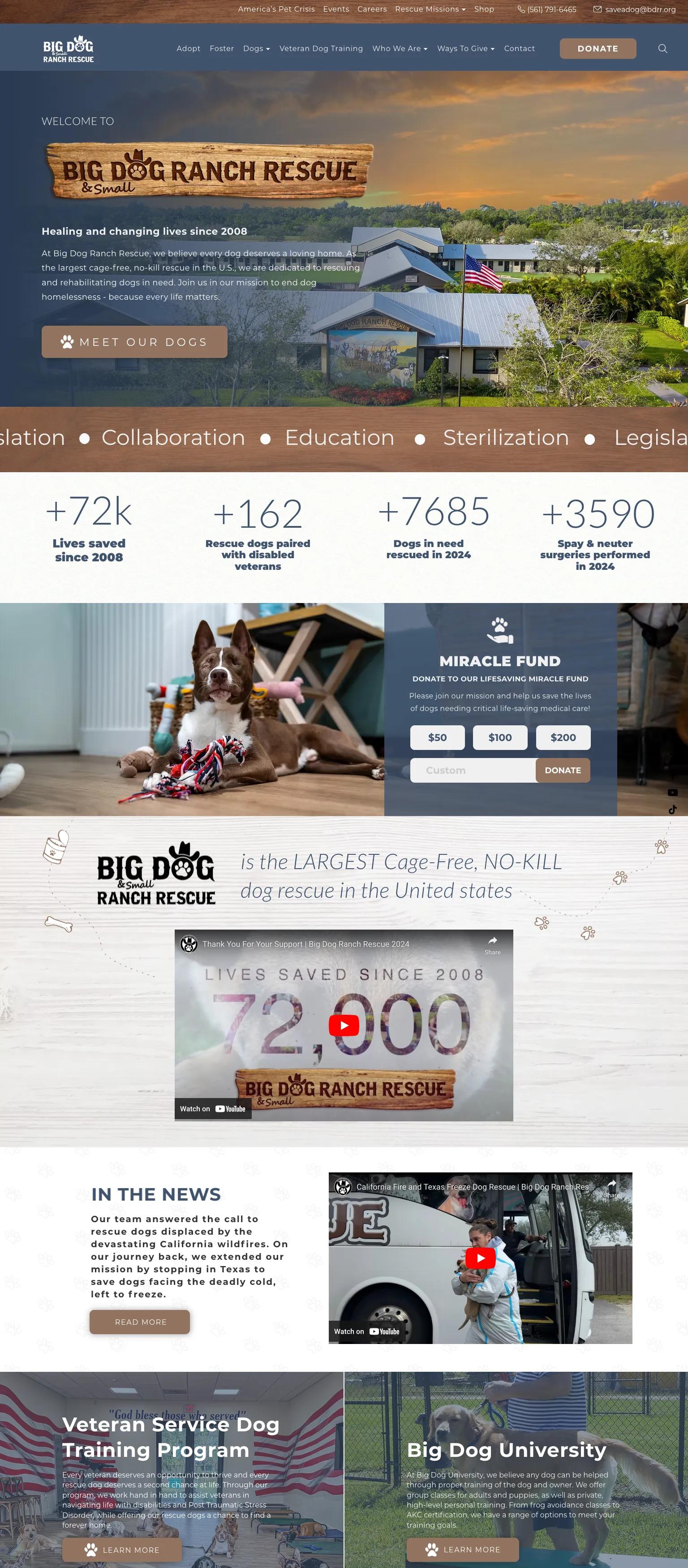 Big Dog Ranch Rescue screenshot