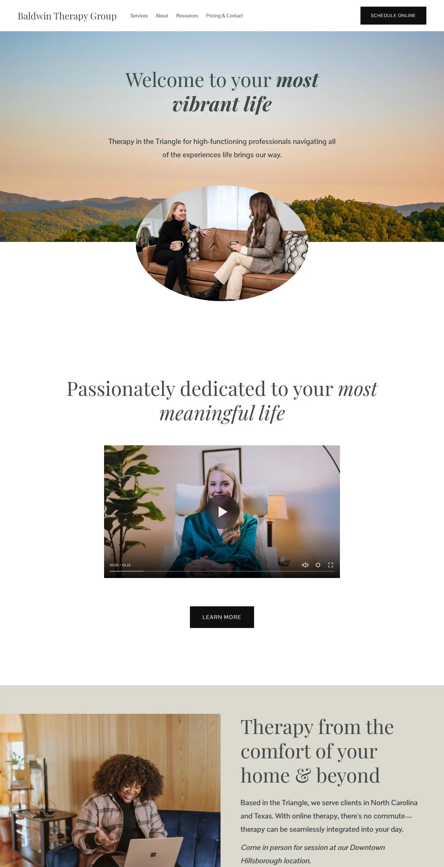 Baldwin Therapy Group screenshot