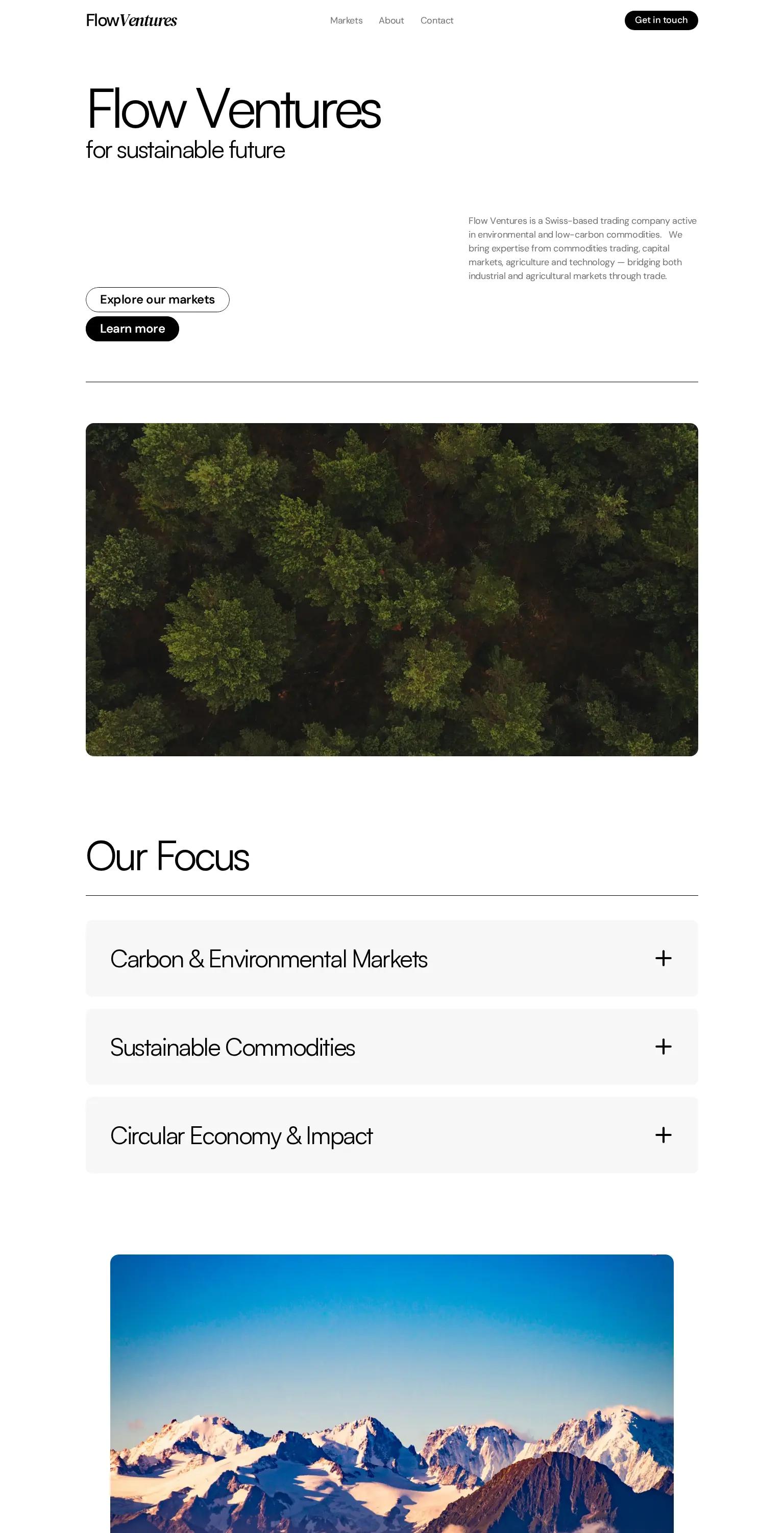 Flow Ventures screenshot