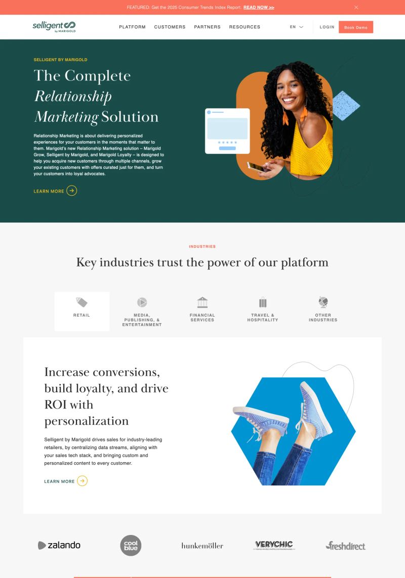 Selligent screenshot