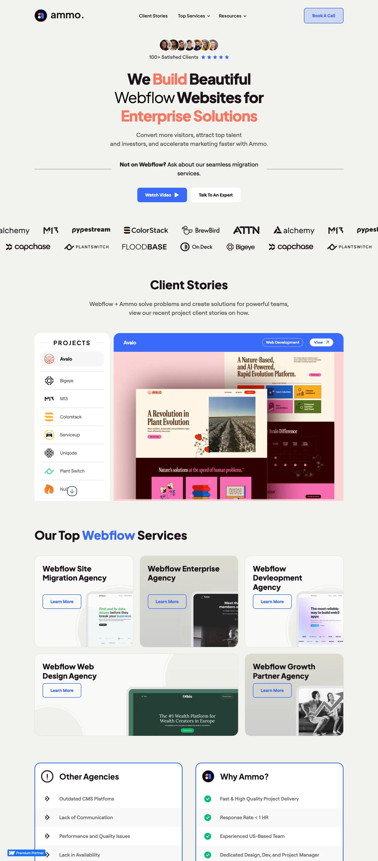 Ammo Studio screenshot