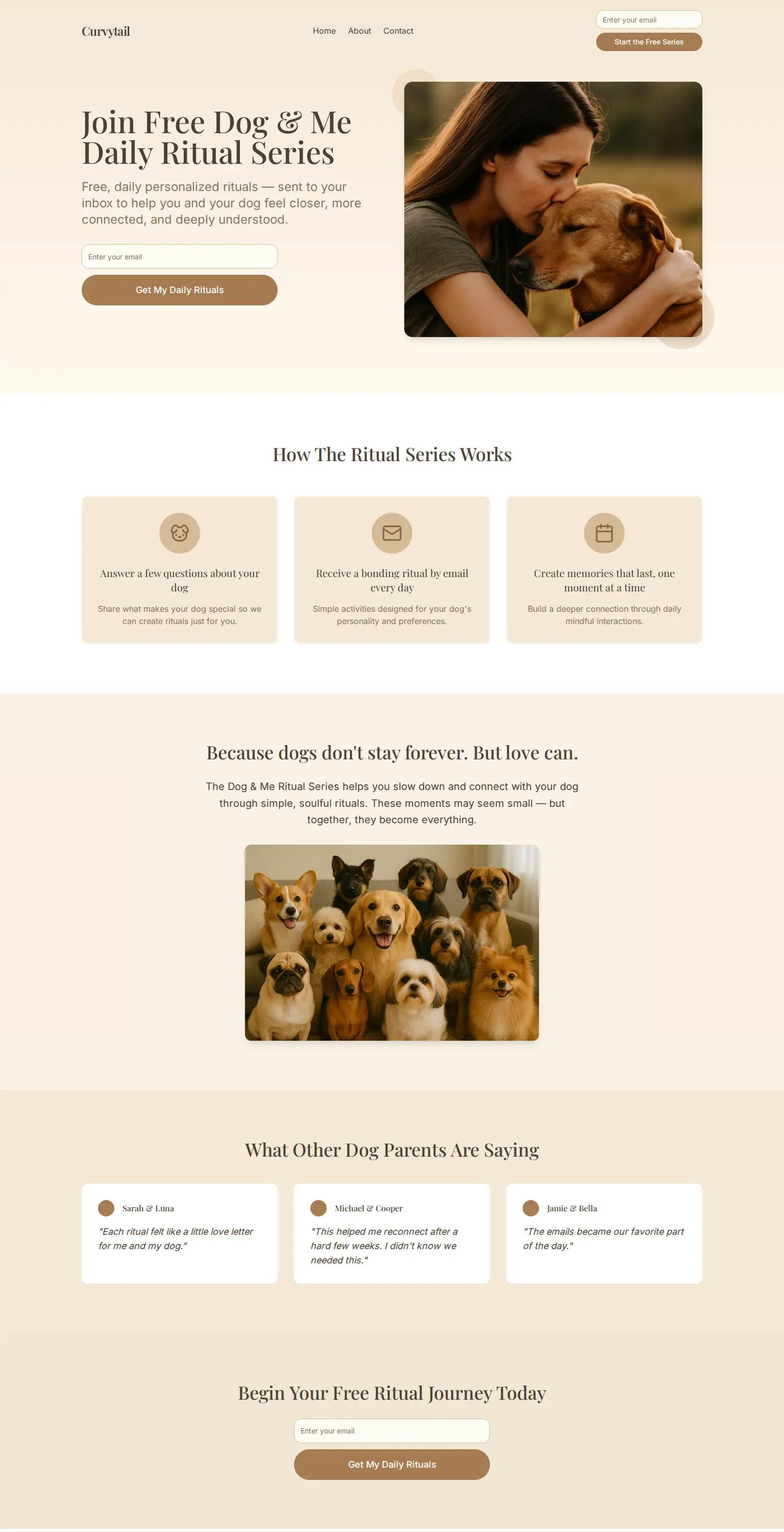 Curvytail screenshot
