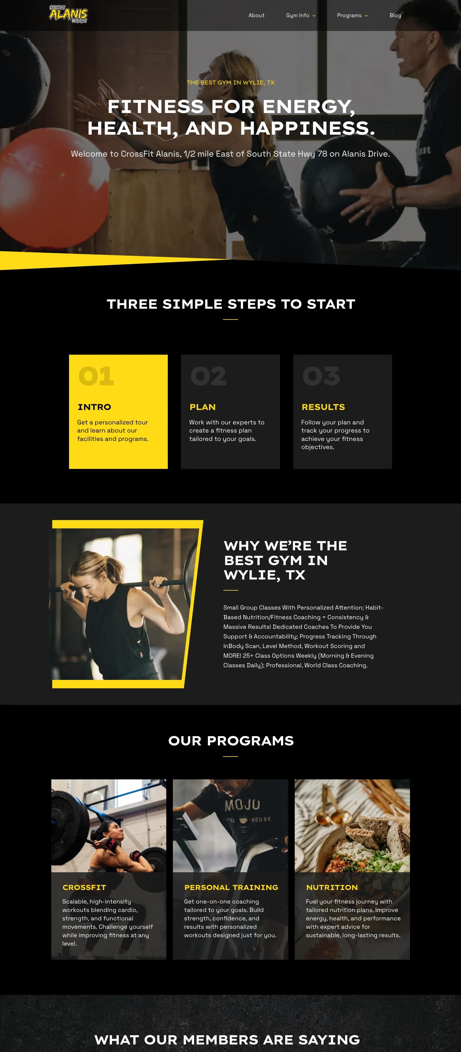 CrossFit Alanis screenshot