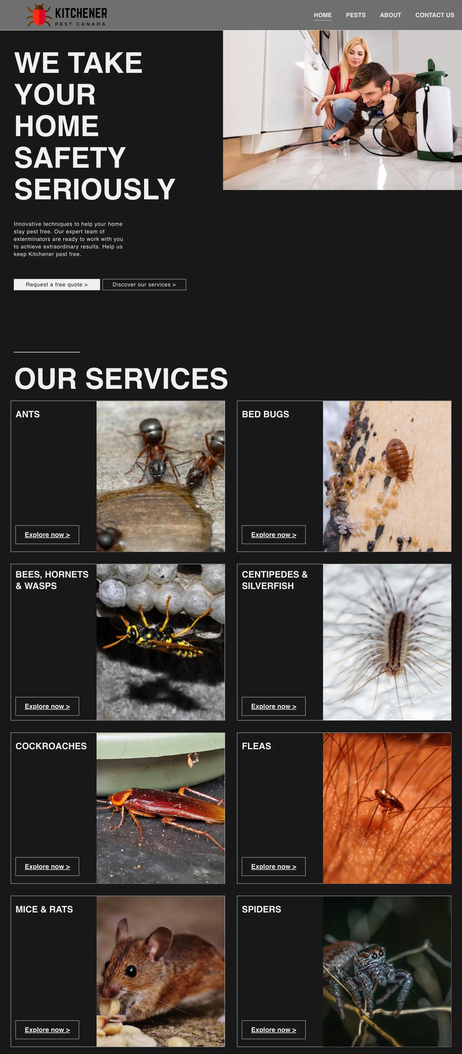 Kitchener Pest screenshot