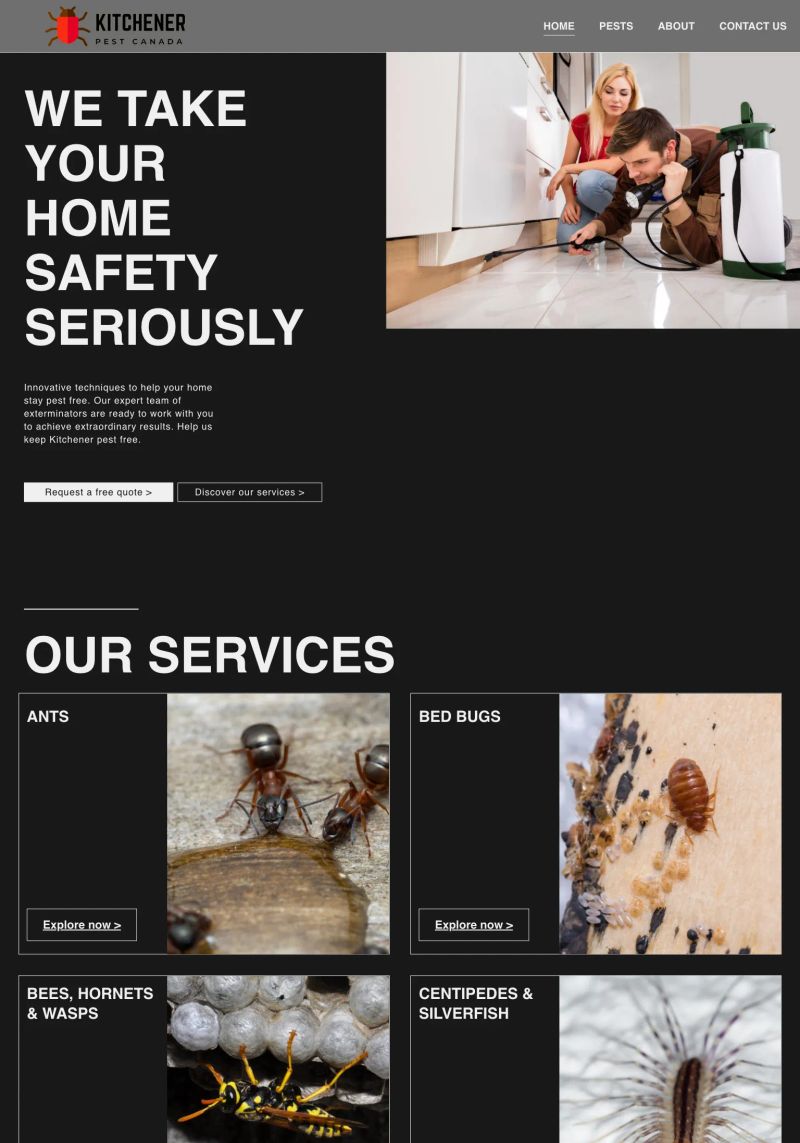 Kitchener Pest screenshot