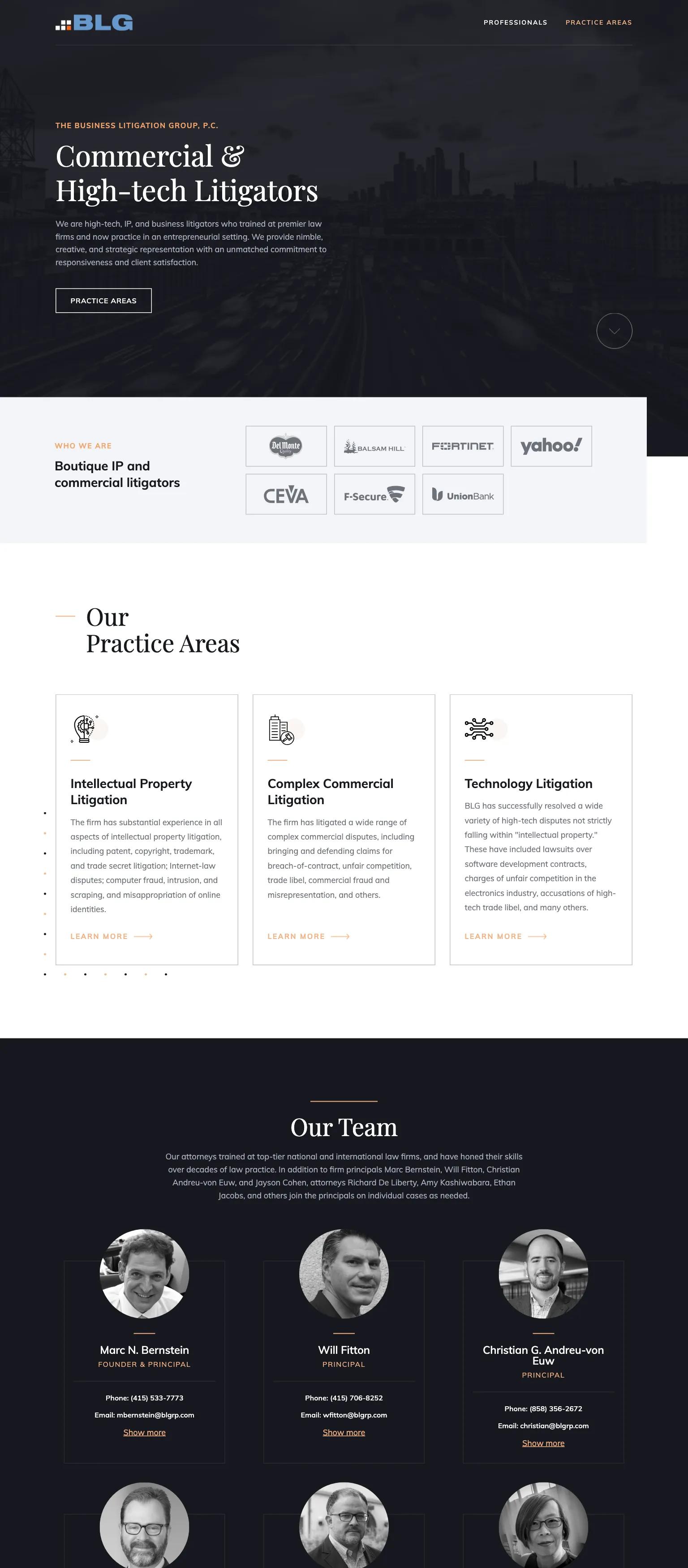 The Business Litigation Group screenshot