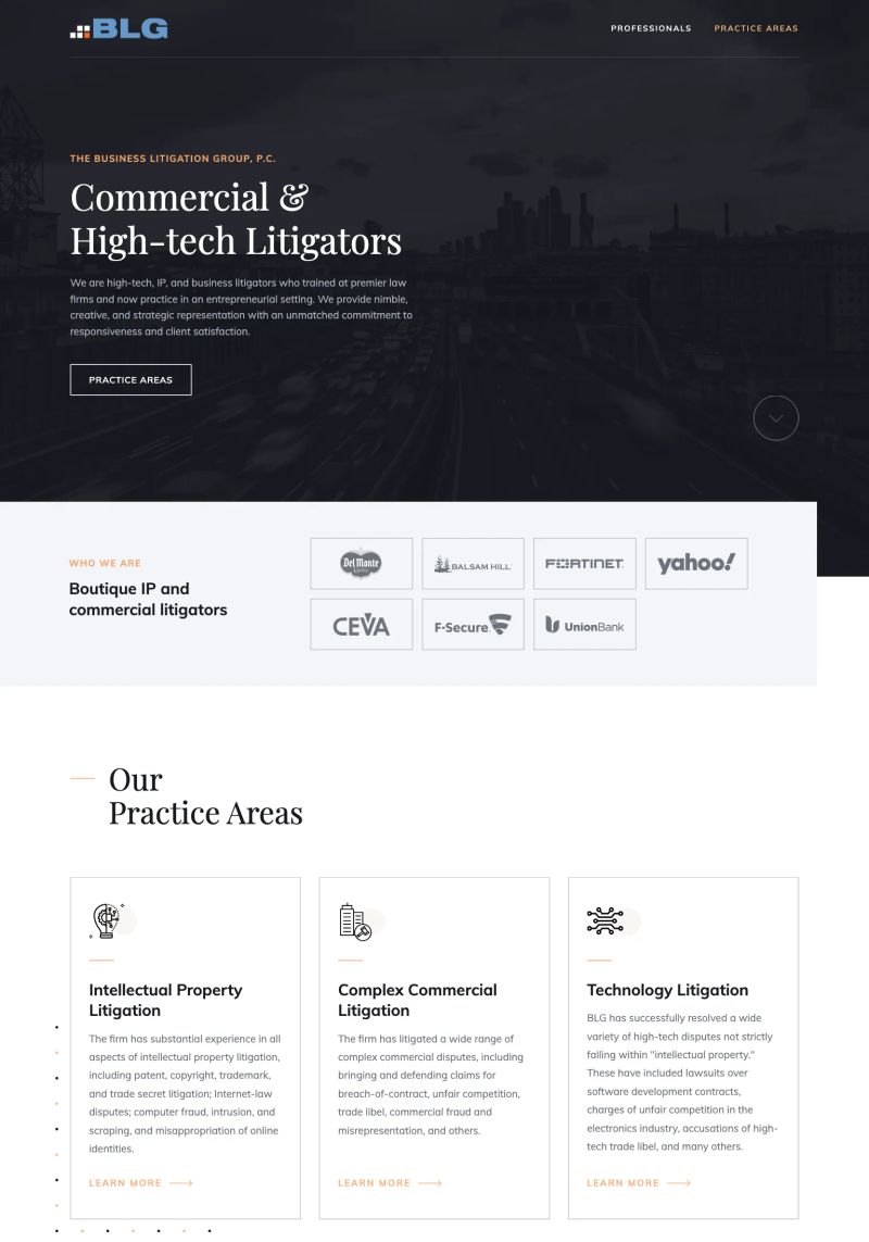 The Business Litigation Group screenshot