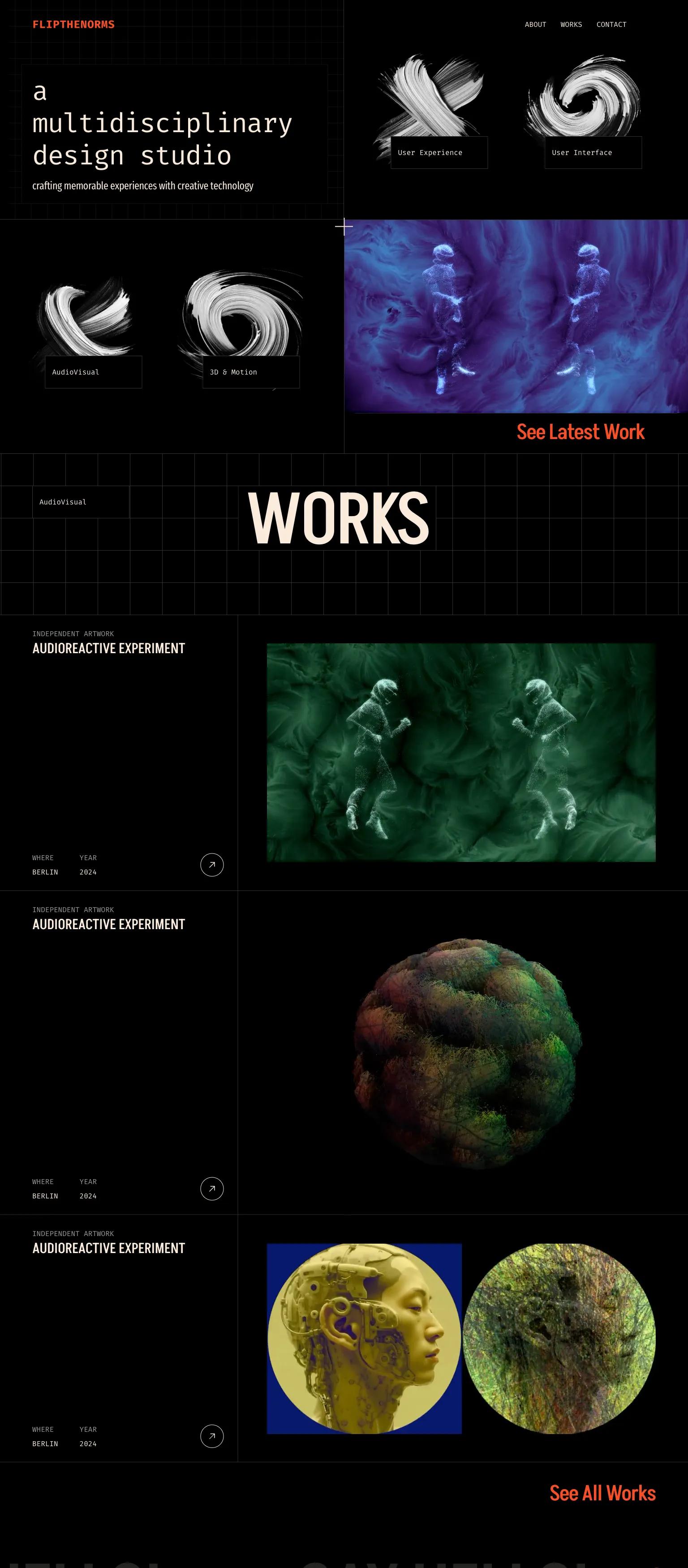 Flip The Norms screenshot