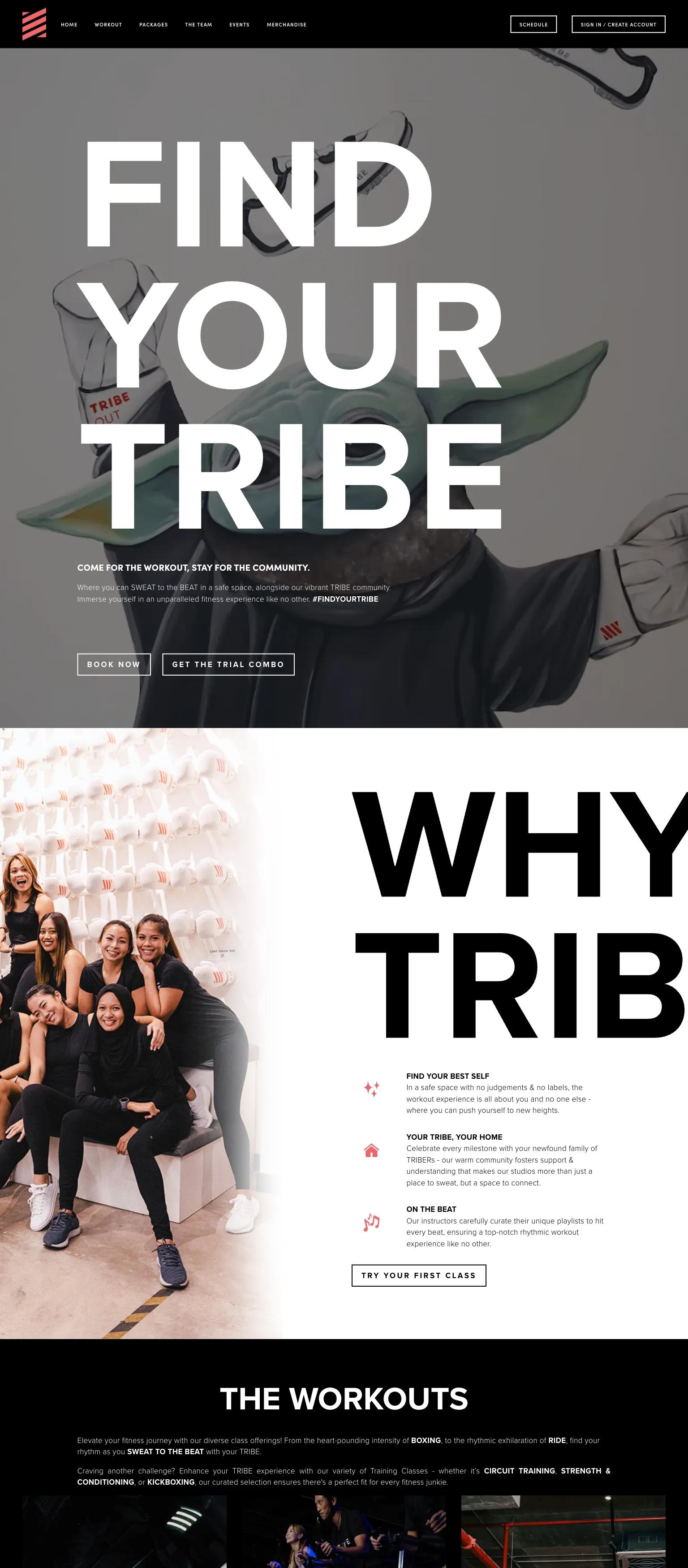 TRIBE Boxing Studio screenshot