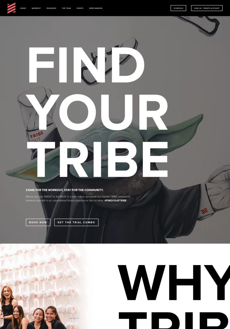 TRIBE Boxing Studio screenshot