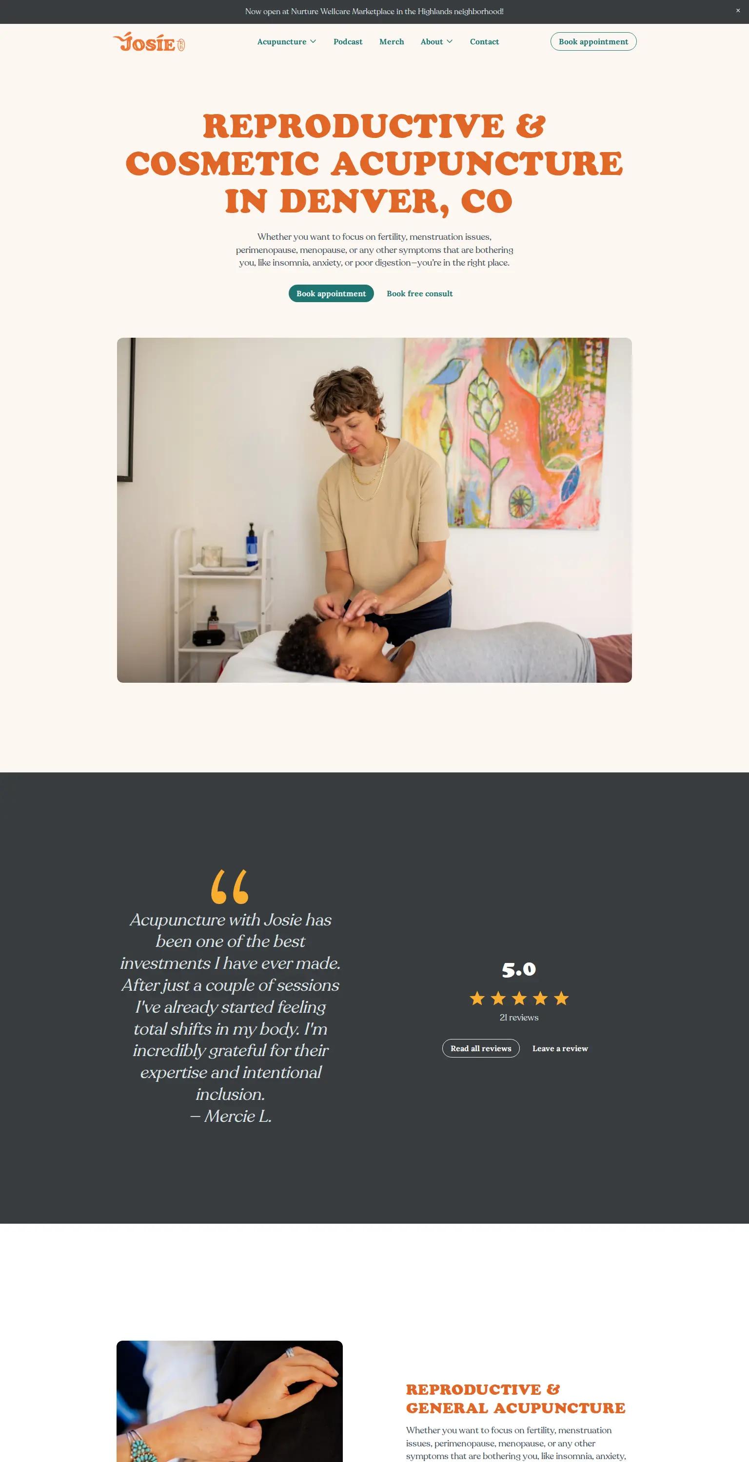 Intersectional Fertility screenshot