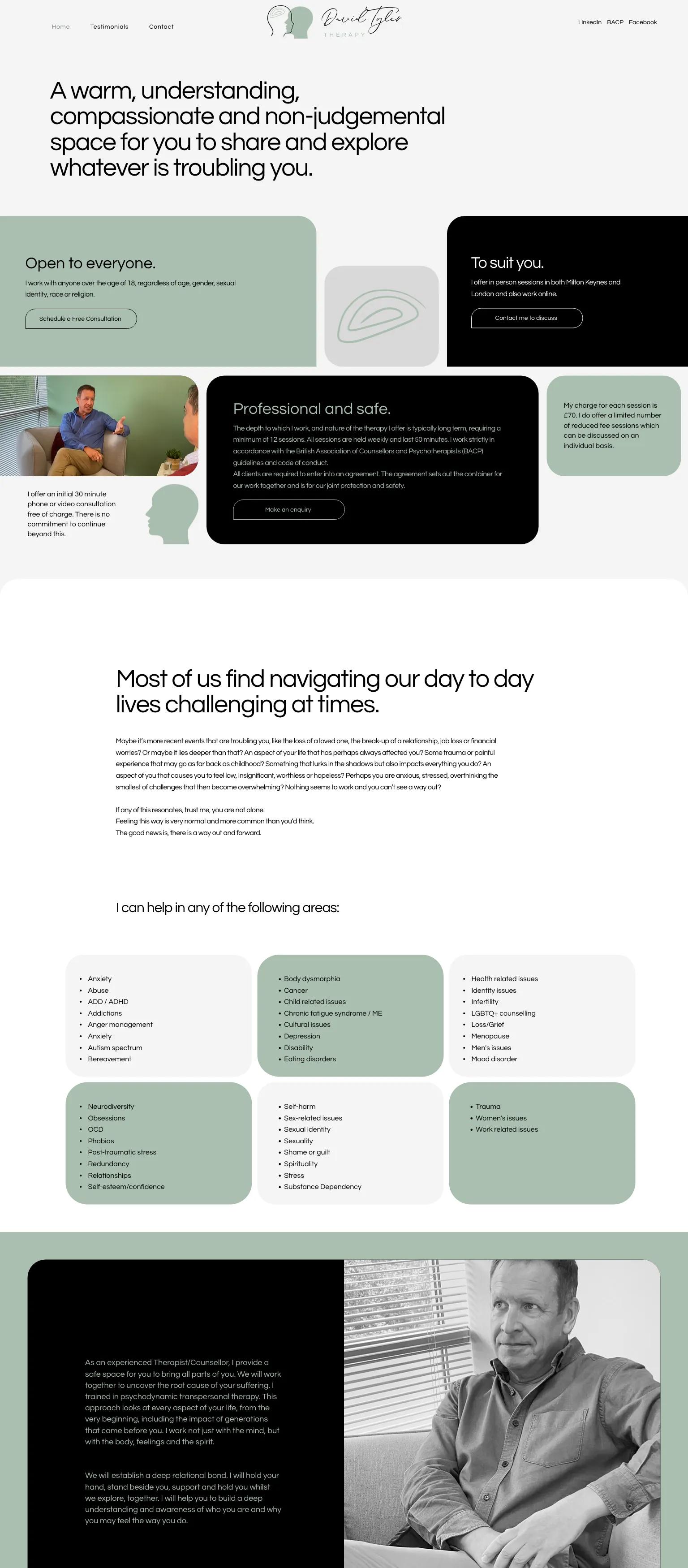 David Tyler Therapy screenshot