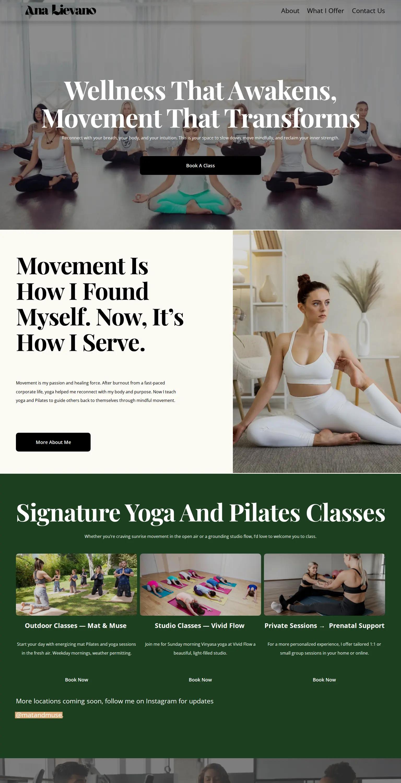 Analievano screenshot