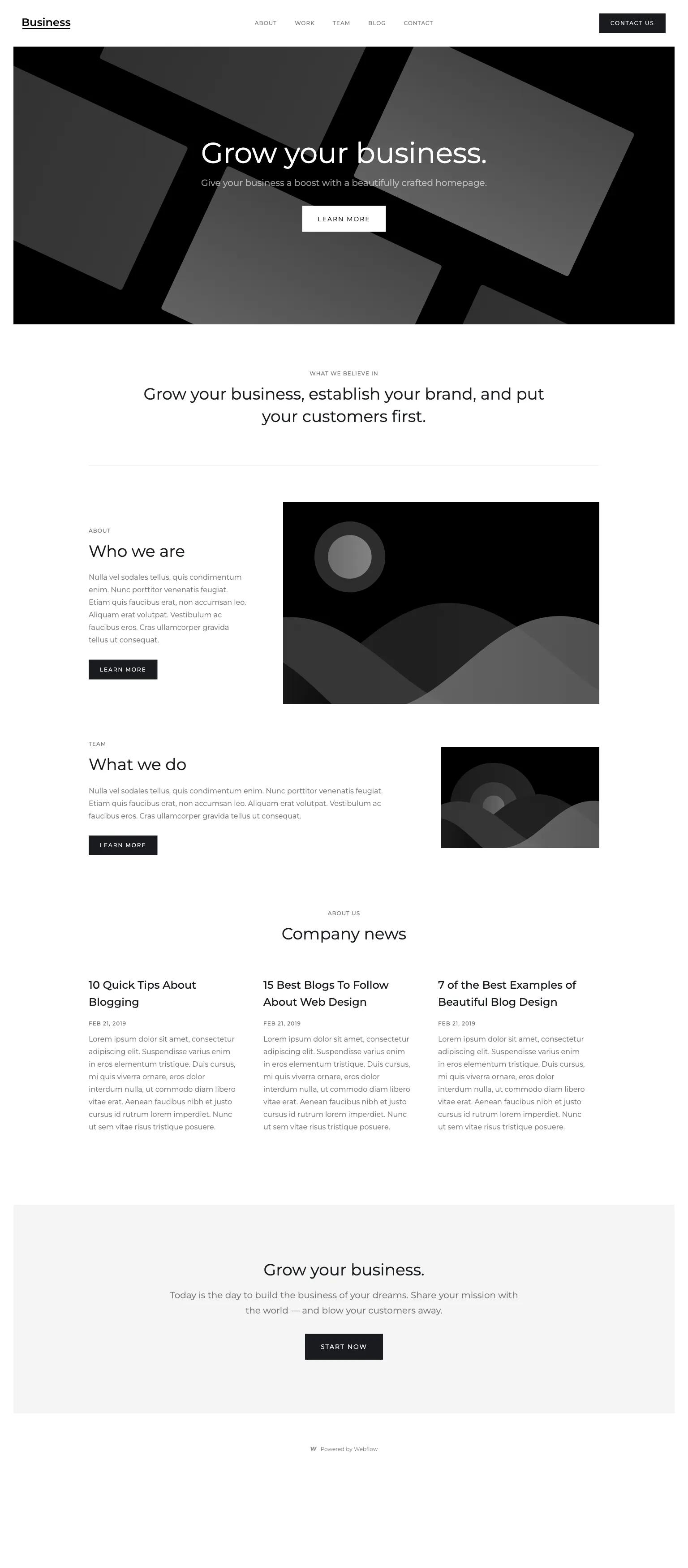 Business Starter screenshot