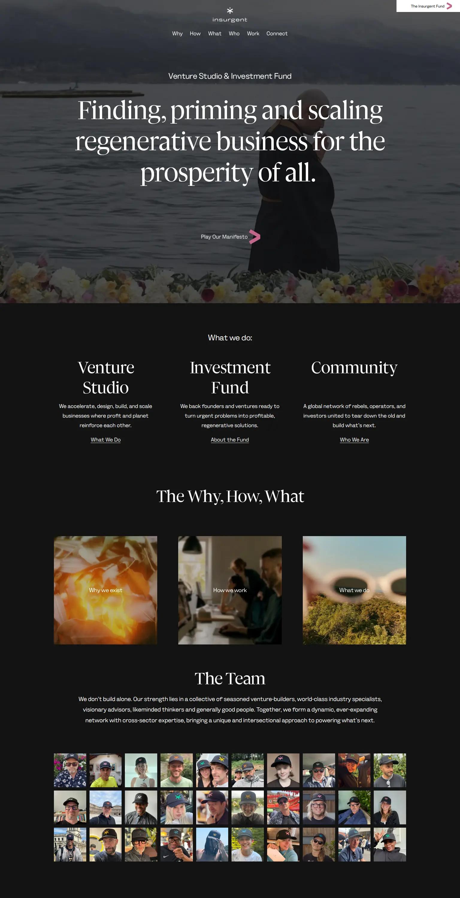 Insurgent screenshot