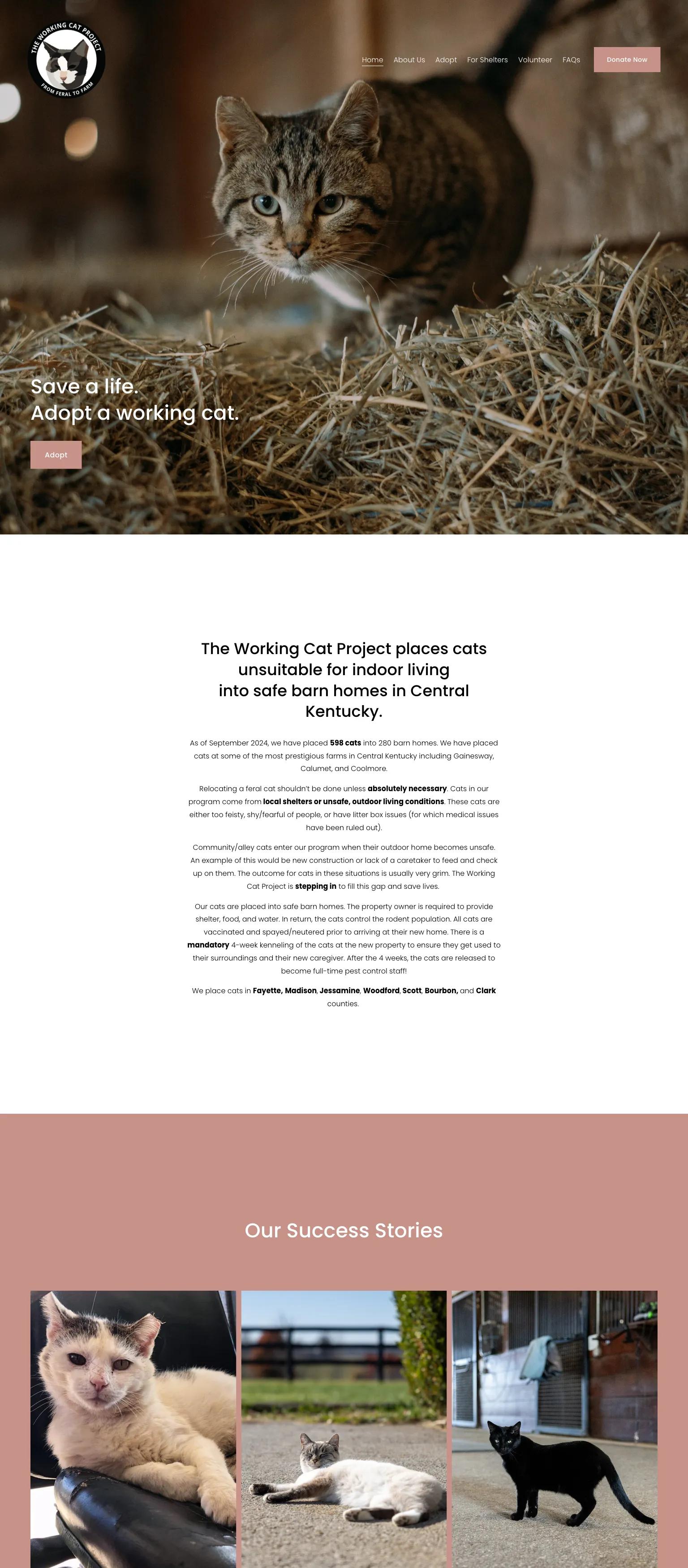 The Working Cat Project screenshot