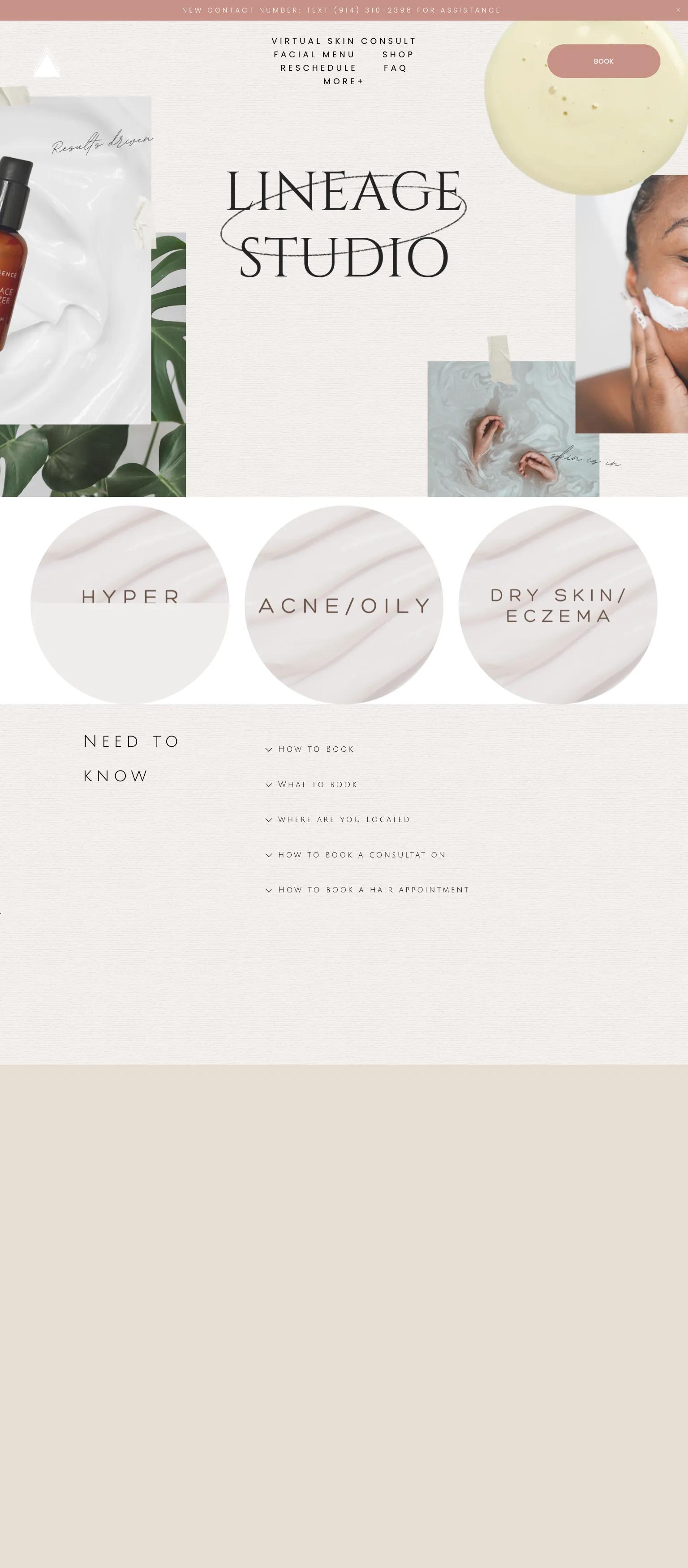 Lineage Studio screenshot